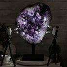 Amethyst Cluster on a Metal Base, 74.3 lbs & 23.5" Tall, #5491 - 0151 - Brazil GemsBrazil GemsAmethyst Cluster on a Metal Base, 74.3 lbs & 23.5" Tall, #5491 - 0151Clusters on Fixed Bases5491 - 0151