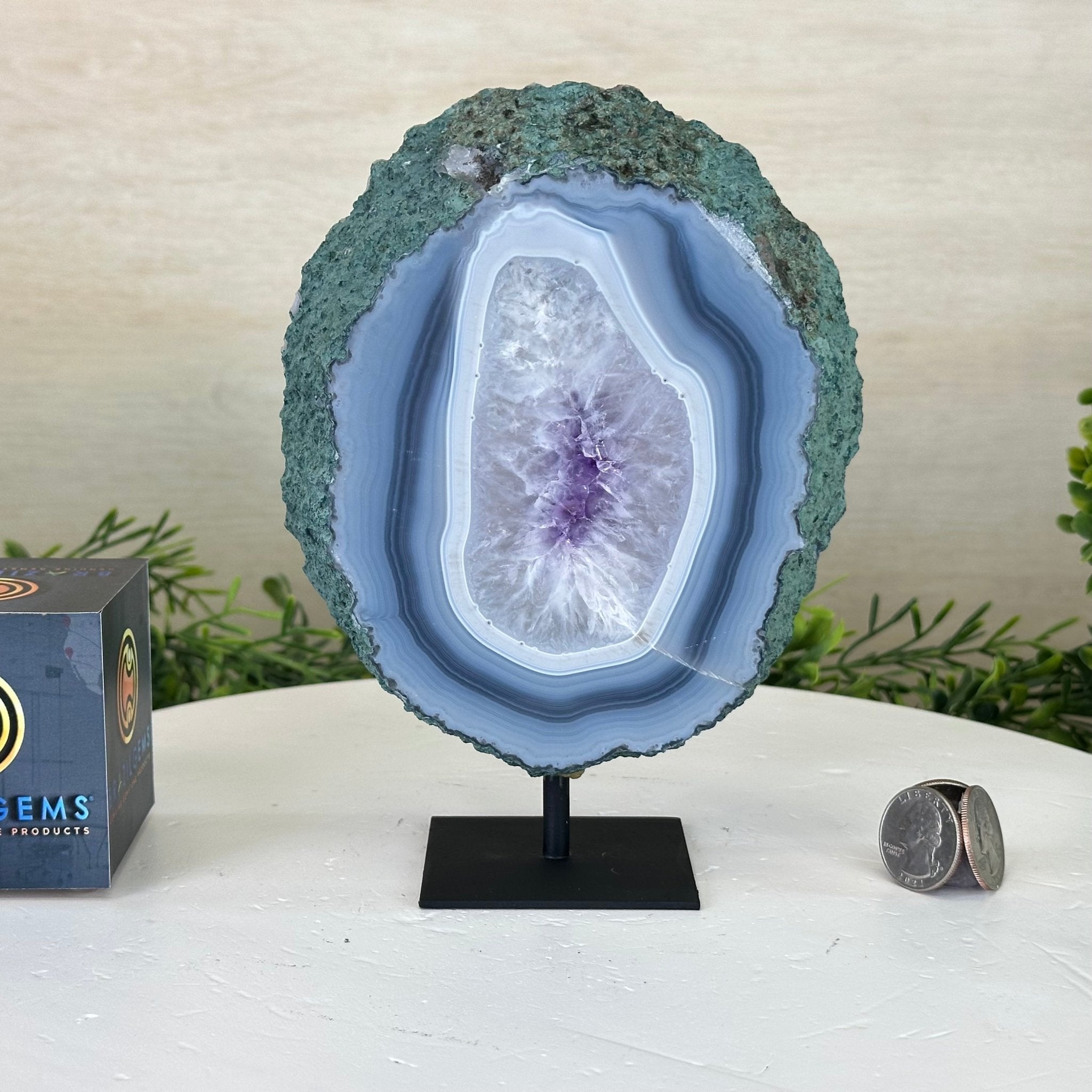 Amethyst Crystal Slice on a Stand, 2.6 lbs & 7.2" tall #5621AM - 008 - Brazil GemsBrazil GemsAmethyst Crystal Slice on a Stand, 2.6 lbs & 7.2" tall #5621AM - 008Slices on Fixed Bases5621AM - 008