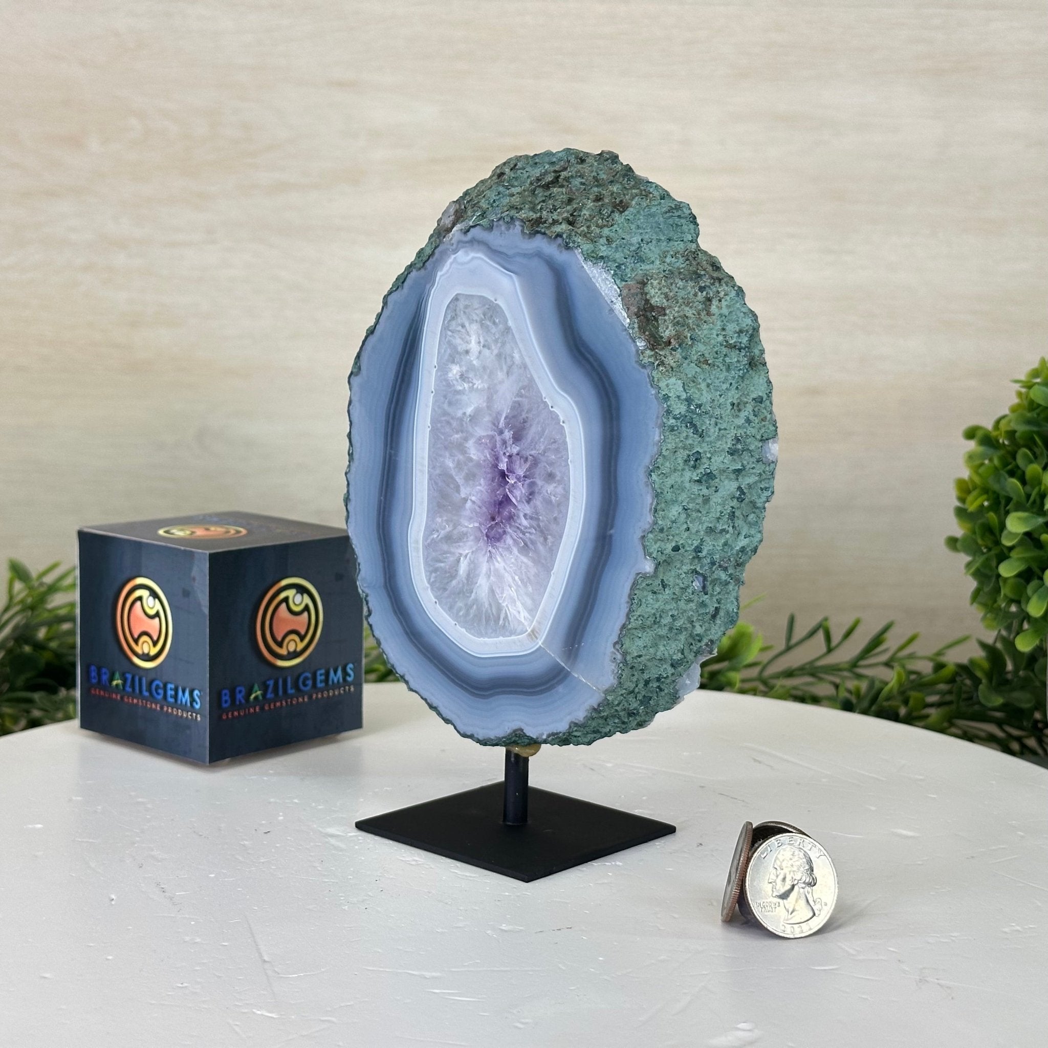 Amethyst Crystal Slice on a Stand, 2.6 lbs & 7.2" tall #5621AM - 008 - Brazil GemsBrazil GemsAmethyst Crystal Slice on a Stand, 2.6 lbs & 7.2" tall #5621AM - 008Slices on Fixed Bases5621AM - 008