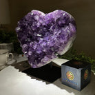 Amethyst Heart Geode on a Metal Stand, 12.3 lbs & 9.4" Tall #5463 - 0357 - Brazil GemsBrazil GemsAmethyst Heart Geode on a Metal Stand, 12.3 lbs & 9.4" Tall #5463 - 0357Hearts5463 - 0357