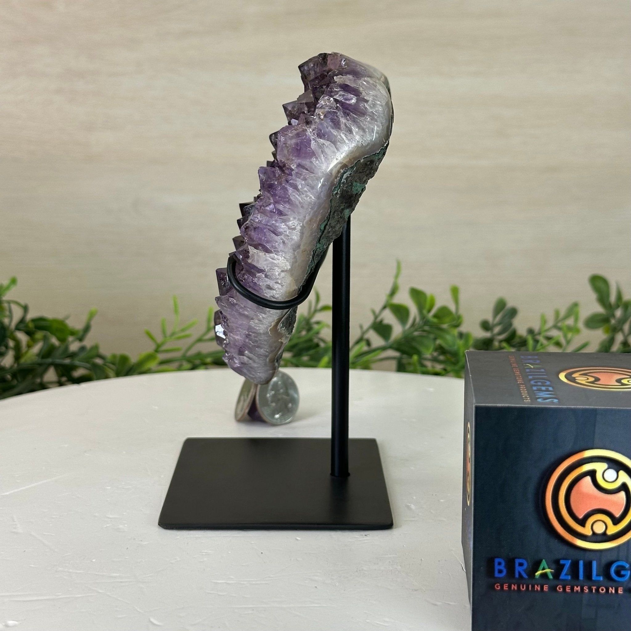 Amethyst Heart Geode on a Metal Stand, 2 lbs & 6.4" Tall #5463 - 0311 - Brazil GemsBrazil GemsAmethyst Heart Geode on a Metal Stand, 2 lbs & 6.4" Tall #5463 - 0311Hearts5463 - 0311