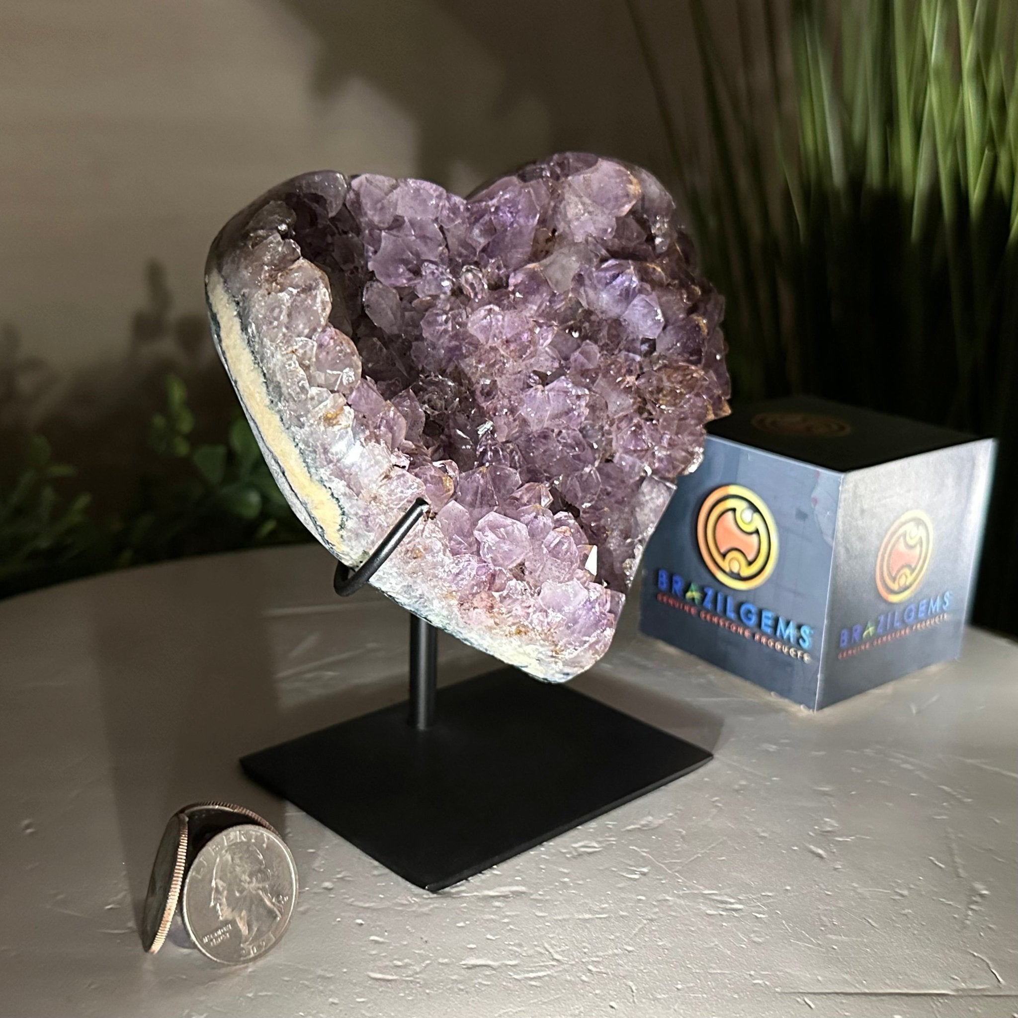 Amethyst Heart Geode on a Metal Stand, 2.1 lbs & 5.5" Tall #5463 - 0312 - Brazil GemsBrazil GemsAmethyst Heart Geode on a Metal Stand, 2.1 lbs & 5.5" Tall #5463 - 0312Hearts5463 - 0312