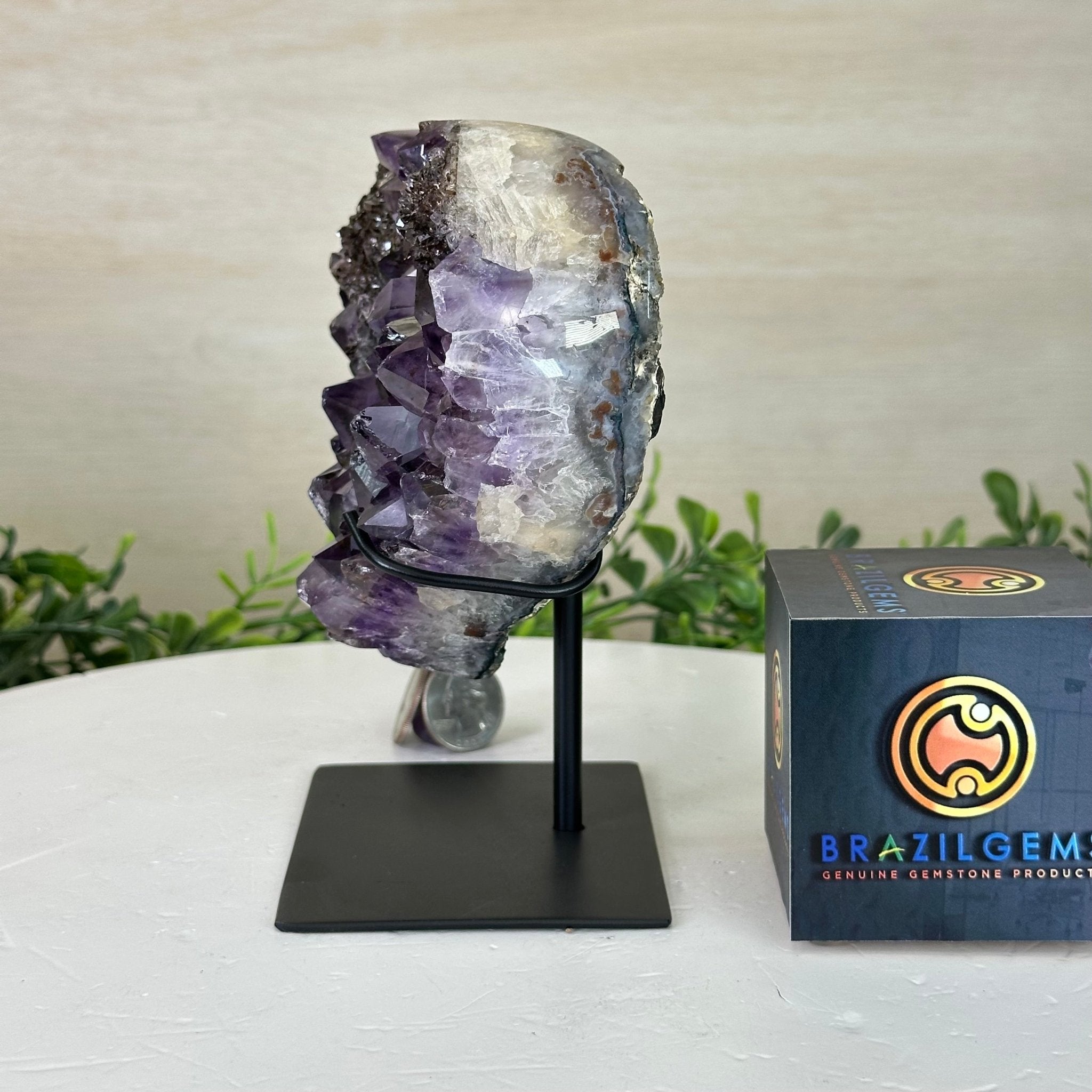 Amethyst Heart Geode on a Metal Stand, 2.7 lbs & 6.3" Tall #5463 - 0314 - Brazil GemsBrazil GemsAmethyst Heart Geode on a Metal Stand, 2.7 lbs & 6.3" Tall #5463 - 0314Hearts5463 - 0314