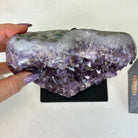 Amethyst Heart Geode on a Metal Stand, 2.9 lbs & 6.1" Tall #5463 - 0315 - Brazil GemsBrazil GemsAmethyst Heart Geode on a Metal Stand, 2.9 lbs & 6.1" Tall #5463 - 0315Hearts5463 - 0315