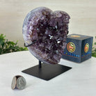 Amethyst Heart Geode on a Metal Stand, 2.9 lbs & 6.1" Tall #5463 - 0315 - Brazil GemsBrazil GemsAmethyst Heart Geode on a Metal Stand, 2.9 lbs & 6.1" Tall #5463 - 0315Hearts5463 - 0315