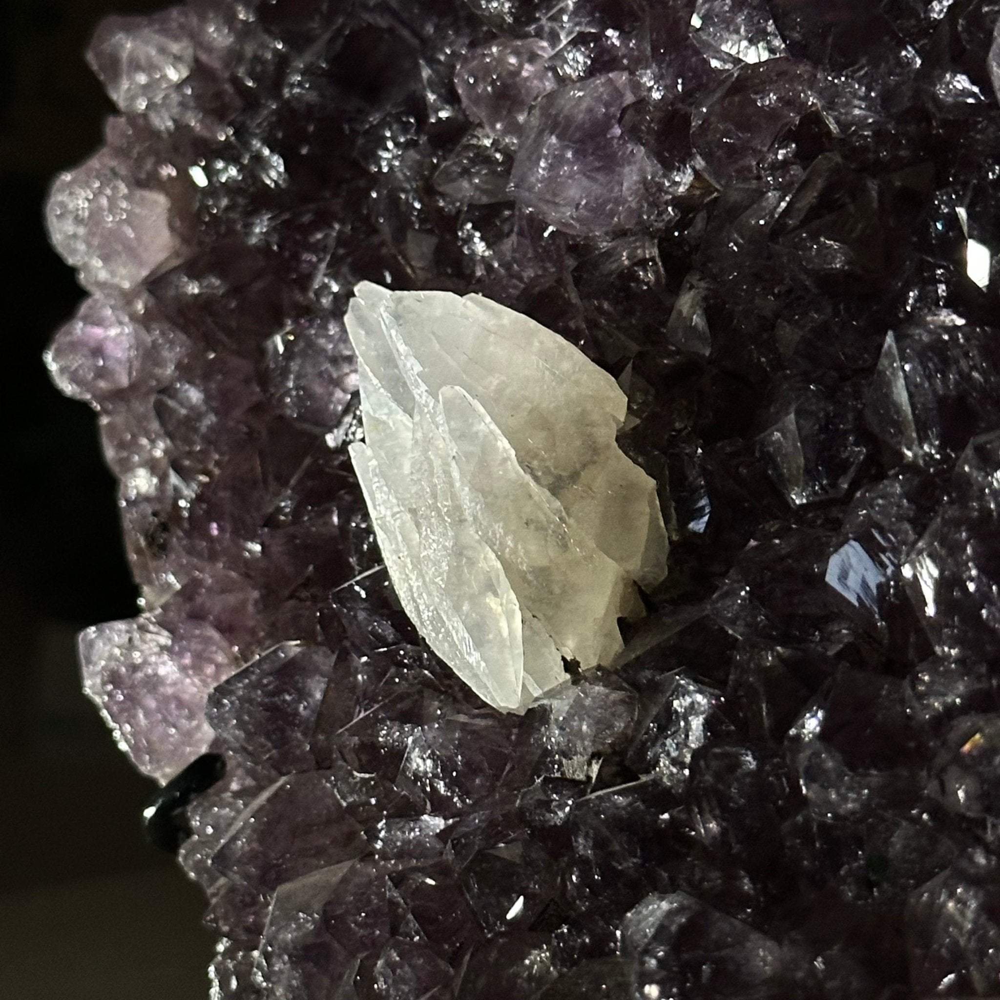 Amethyst Heart Geode on a Metal Stand, 3 lbs & 6.6" Tall #5463 - 0343 - Brazil GemsBrazil GemsAmethyst Heart Geode on a Metal Stand, 3 lbs & 6.6" Tall #5463 - 0343Hearts5463 - 0343