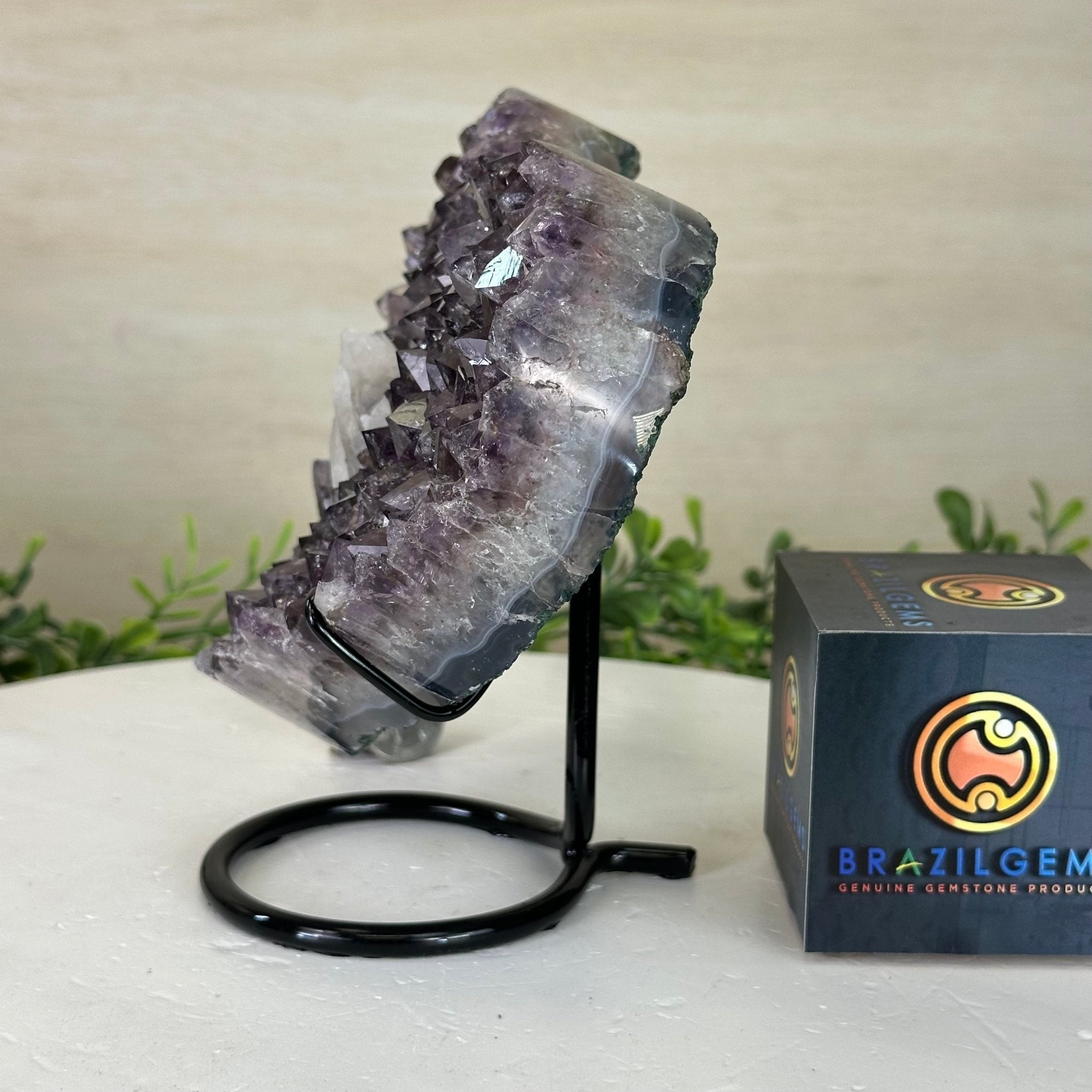 Amethyst Heart Geode on a Metal Stand, 3 lbs & 6.6" Tall #5463 - 0343 - Brazil GemsBrazil GemsAmethyst Heart Geode on a Metal Stand, 3 lbs & 6.6" Tall #5463 - 0343Hearts5463 - 0343