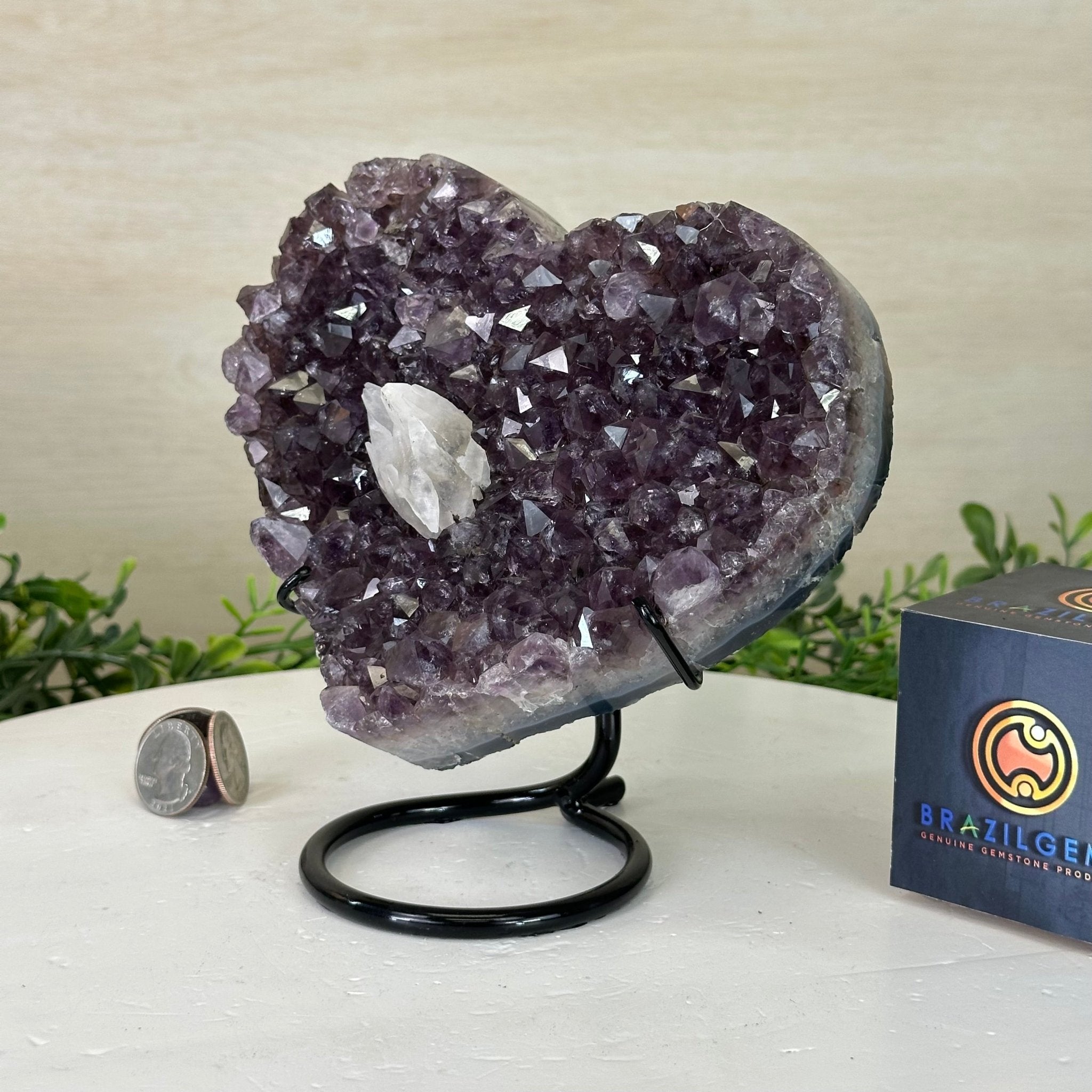 Amethyst Heart Geode on a Metal Stand, 3 lbs & 6.6" Tall #5463 - 0343 - Brazil GemsBrazil GemsAmethyst Heart Geode on a Metal Stand, 3 lbs & 6.6" Tall #5463 - 0343Hearts5463 - 0343