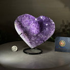 Amethyst Heart Geode on a Metal Stand, 3.1 lbs & 6.1" Tall #5463 - 0344 - Brazil GemsBrazil GemsAmethyst Heart Geode on a Metal Stand, 3.1 lbs & 6.1" Tall #5463 - 0344Hearts5463 - 0344