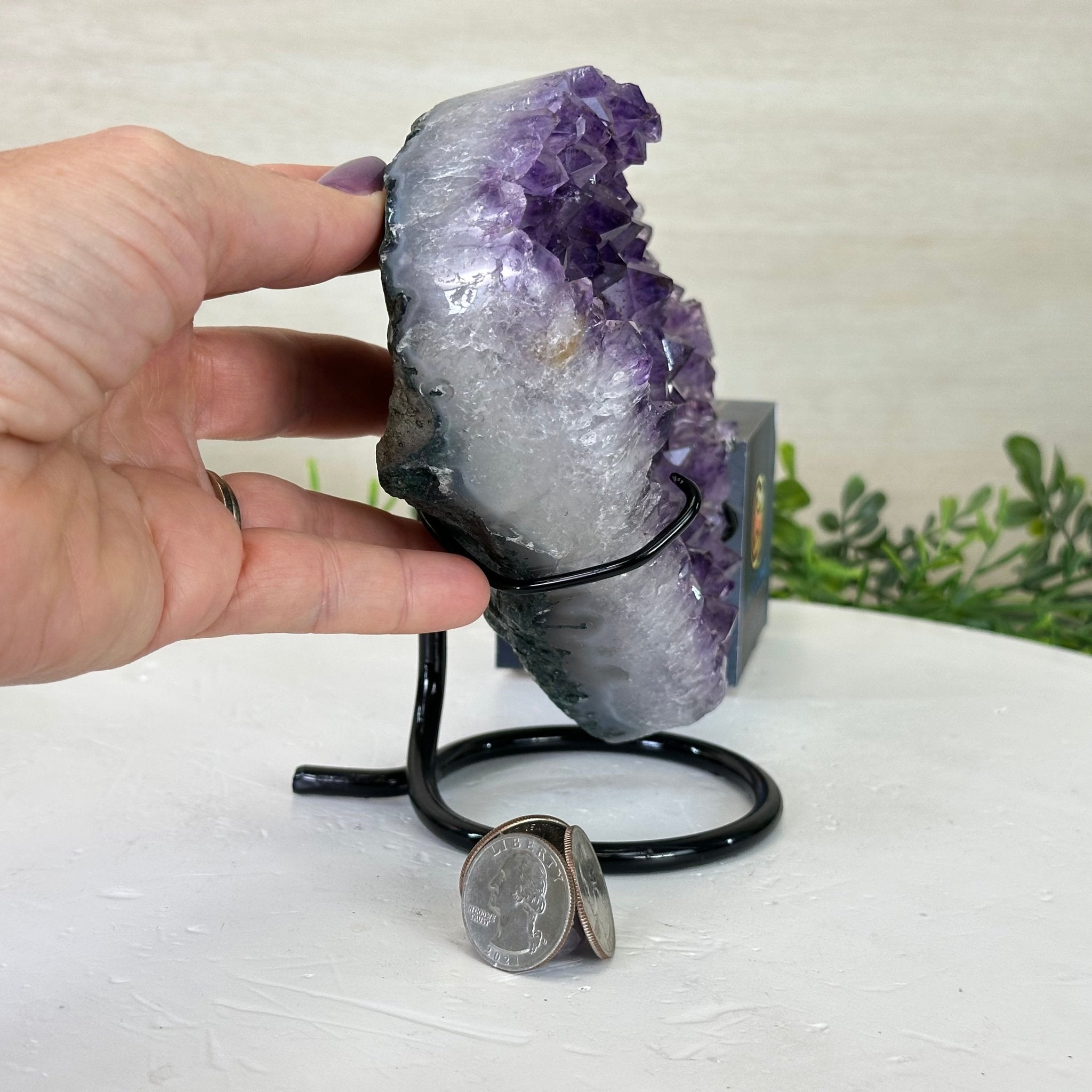 Amethyst Heart Geode on a Metal Stand, 3.1 lbs & 6.1" Tall #5463 - 0344 - Brazil GemsBrazil GemsAmethyst Heart Geode on a Metal Stand, 3.1 lbs & 6.1" Tall #5463 - 0344Hearts5463 - 0344