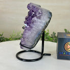 Amethyst Heart Geode on a Metal Stand, 3.1 lbs & 6.1" Tall #5463 - 0344 - Brazil GemsBrazil GemsAmethyst Heart Geode on a Metal Stand, 3.1 lbs & 6.1" Tall #5463 - 0344Hearts5463 - 0344