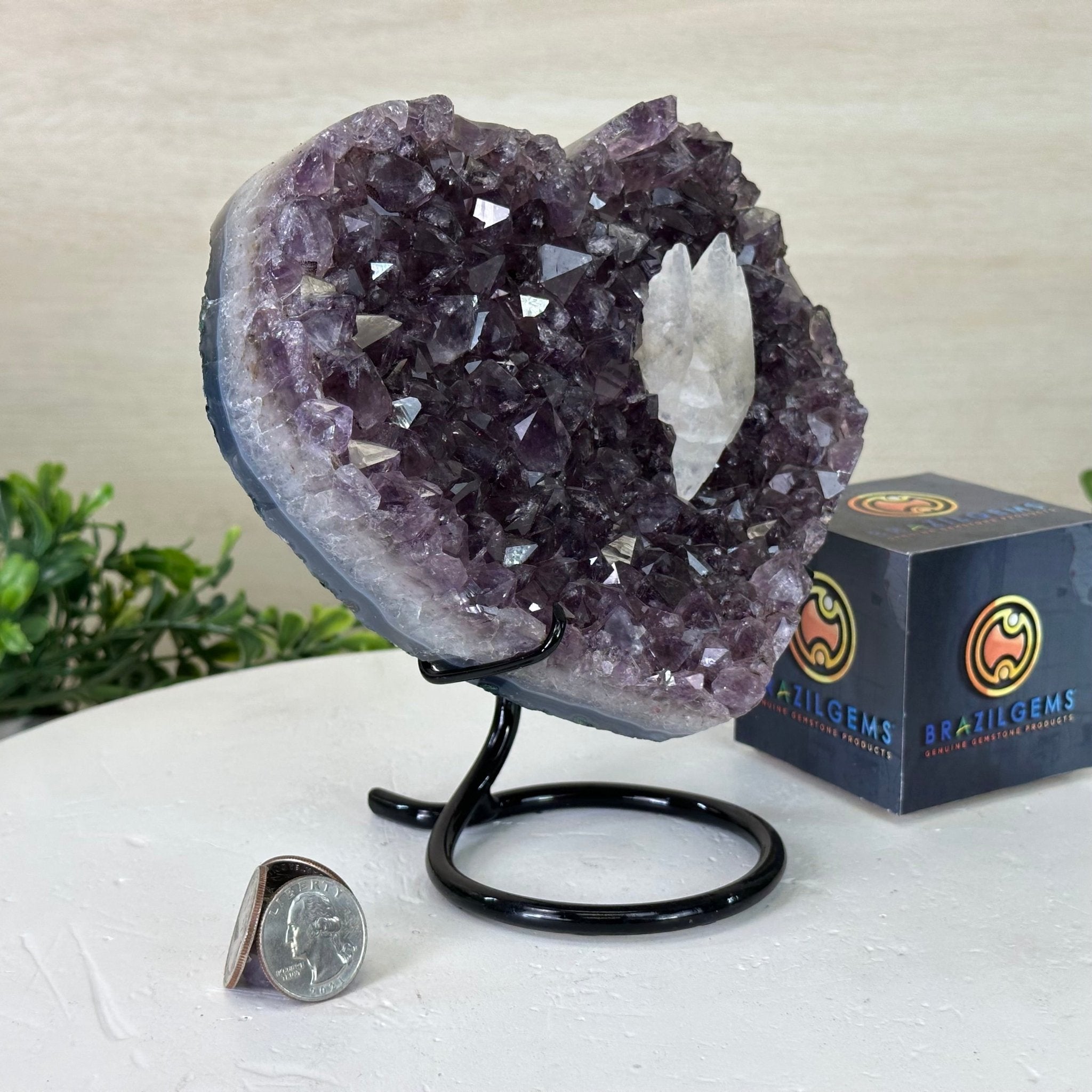 Amethyst Heart Geode on a Metal Stand, 3.3 lbs & 6.7" Tall #5463 - 0345 - Brazil GemsBrazil GemsAmethyst Heart Geode on a Metal Stand, 3.3 lbs & 6.7" Tall #5463 - 0345Hearts5463 - 0345