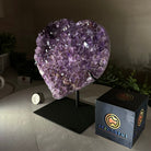 Amethyst Heart Geode on a Metal Stand, 3.3 lbs & 7.5" Tall #5463 - 0317 - Brazil GemsBrazil GemsAmethyst Heart Geode on a Metal Stand, 3.3 lbs & 7.5" Tall #5463 - 0317Hearts5463 - 0317