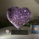 Amethyst Heart Geode on a Metal Stand, 3.3 lbs & 7.5" Tall #5463 - 0317 - Brazil GemsBrazil GemsAmethyst Heart Geode on a Metal Stand, 3.3 lbs & 7.5" Tall #5463 - 0317Hearts5463 - 0317