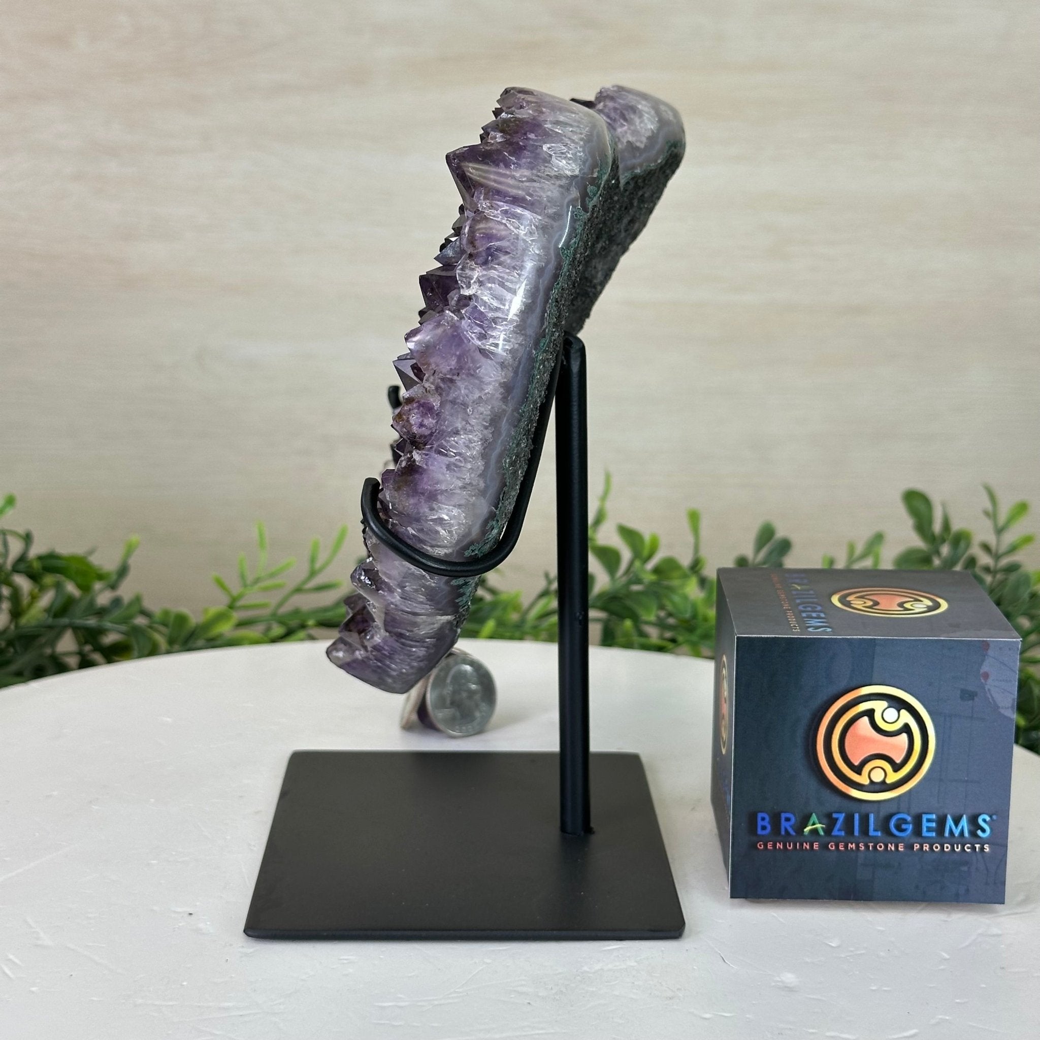 Amethyst Heart Geode on a Metal Stand, 3.3 lbs & 7.5" Tall #5463 - 0317 - Brazil GemsBrazil GemsAmethyst Heart Geode on a Metal Stand, 3.3 lbs & 7.5" Tall #5463 - 0317Hearts5463 - 0317