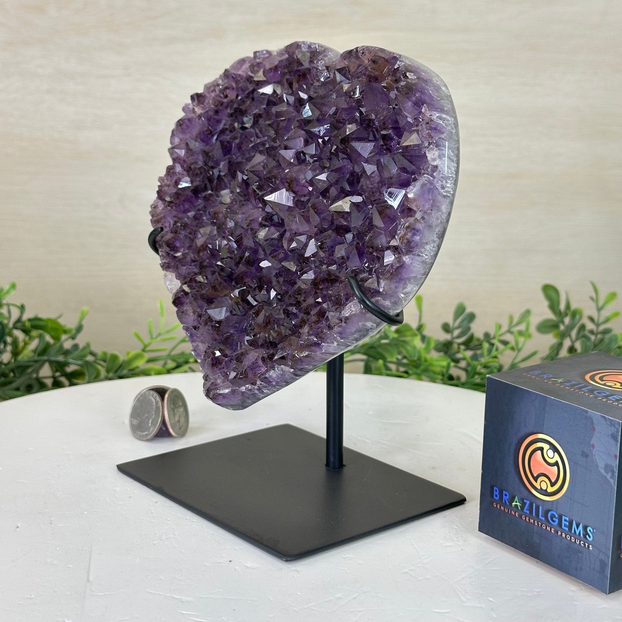 Amethyst Heart Geode on a Metal Stand, 3.3 lbs & 7.5" Tall #5463 - 0317 - Brazil GemsBrazil GemsAmethyst Heart Geode on a Metal Stand, 3.3 lbs & 7.5" Tall #5463 - 0317Hearts5463 - 0317