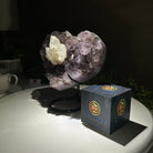 Amethyst Heart Geode on a Metal Stand, 3.5 lbs & 6.8" Tall #5463 - 0347 - Brazil GemsBrazil GemsAmethyst Heart Geode on a Metal Stand, 3.5 lbs & 6.8" Tall #5463 - 0347Hearts5463 - 0347