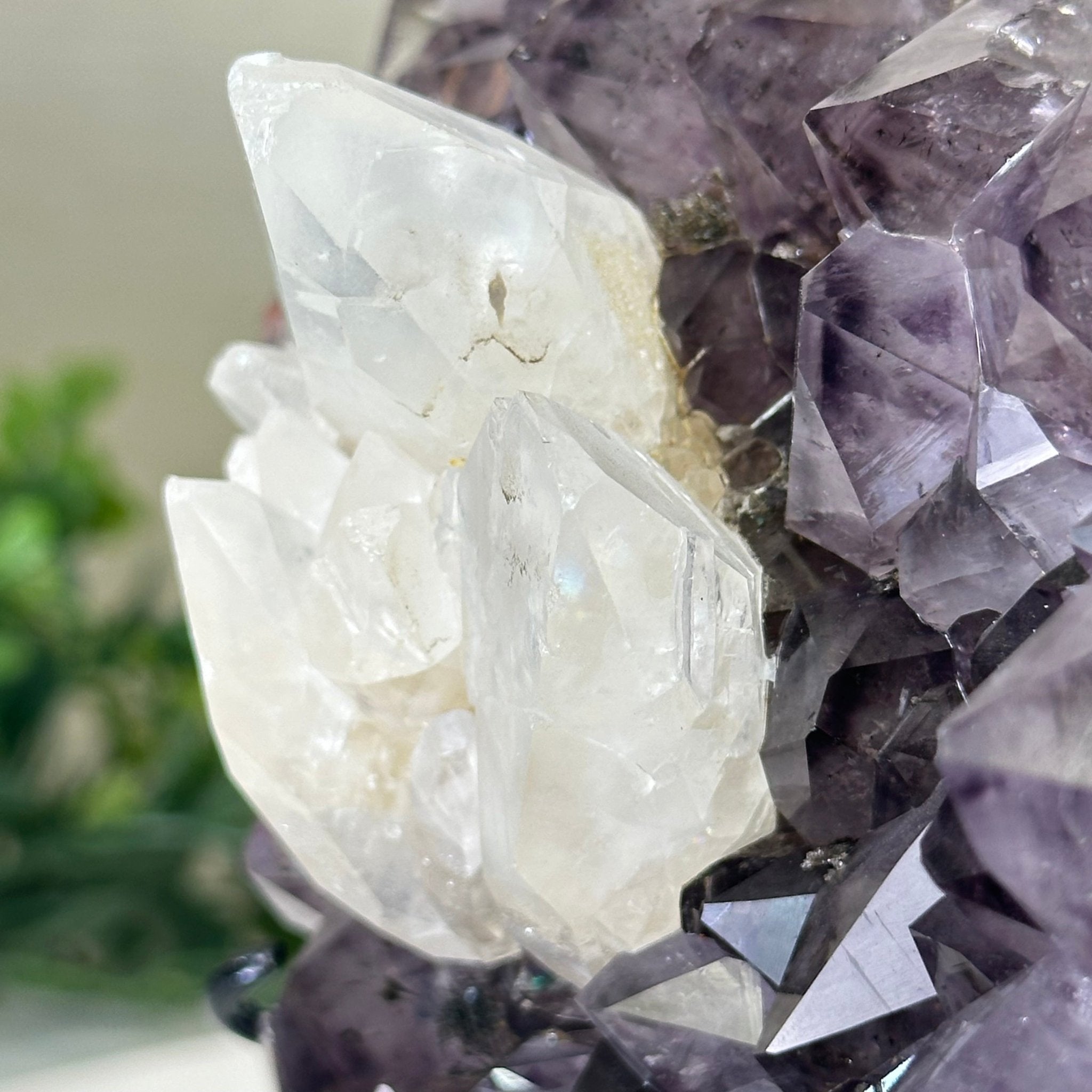 Amethyst Heart Geode on a Metal Stand, 3.5 lbs & 6.8" Tall #5463 - 0347 - Brazil GemsBrazil GemsAmethyst Heart Geode on a Metal Stand, 3.5 lbs & 6.8" Tall #5463 - 0347Hearts5463 - 0347