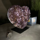 Amethyst Heart Geode on a Metal Stand, 3.9 lbs & 5.9" Tall #5463 - 0321 - Brazil GemsBrazil GemsAmethyst Heart Geode on a Metal Stand, 3.9 lbs & 5.9" Tall #5463 - 0321Hearts5463 - 0321