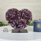 Amethyst Heart Geode on a Metal Stand, 3.9 lbs & 5.9" Tall #5463 - 0321 - Brazil GemsBrazil GemsAmethyst Heart Geode on a Metal Stand, 3.9 lbs & 5.9" Tall #5463 - 0321Hearts5463 - 0321