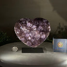 Amethyst Heart Geode on a Metal Stand, 3.9 lbs & 6.2" Tall #5463 - 0320 - Brazil GemsBrazil GemsAmethyst Heart Geode on a Metal Stand, 3.9 lbs & 6.2" Tall #5463 - 0320Hearts5463 - 0320