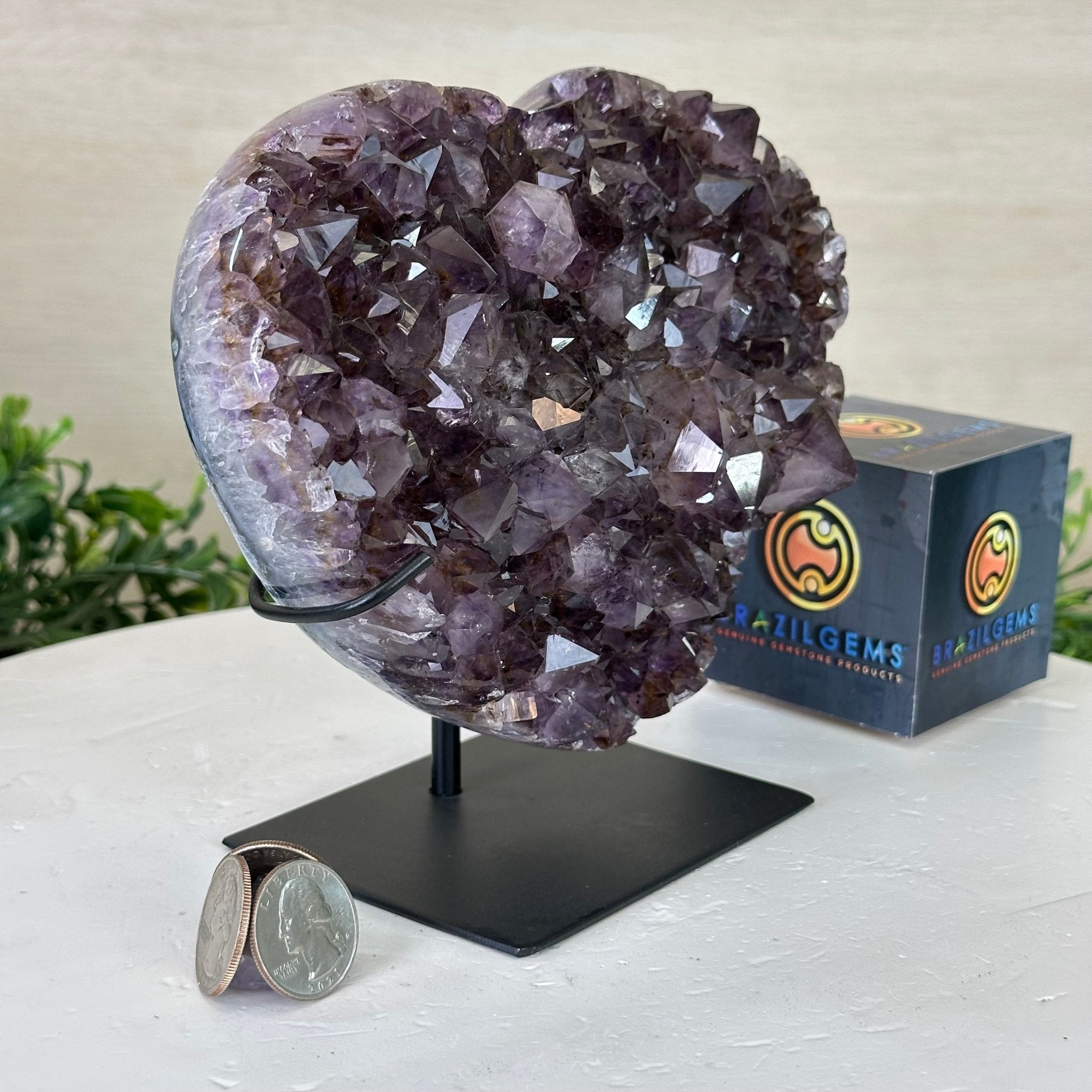 Amethyst Heart Geode on a Metal Stand, 3.9 lbs & 6.2" Tall #5463 - 0320 - Brazil GemsBrazil GemsAmethyst Heart Geode on a Metal Stand, 3.9 lbs & 6.2" Tall #5463 - 0320Hearts5463 - 0320