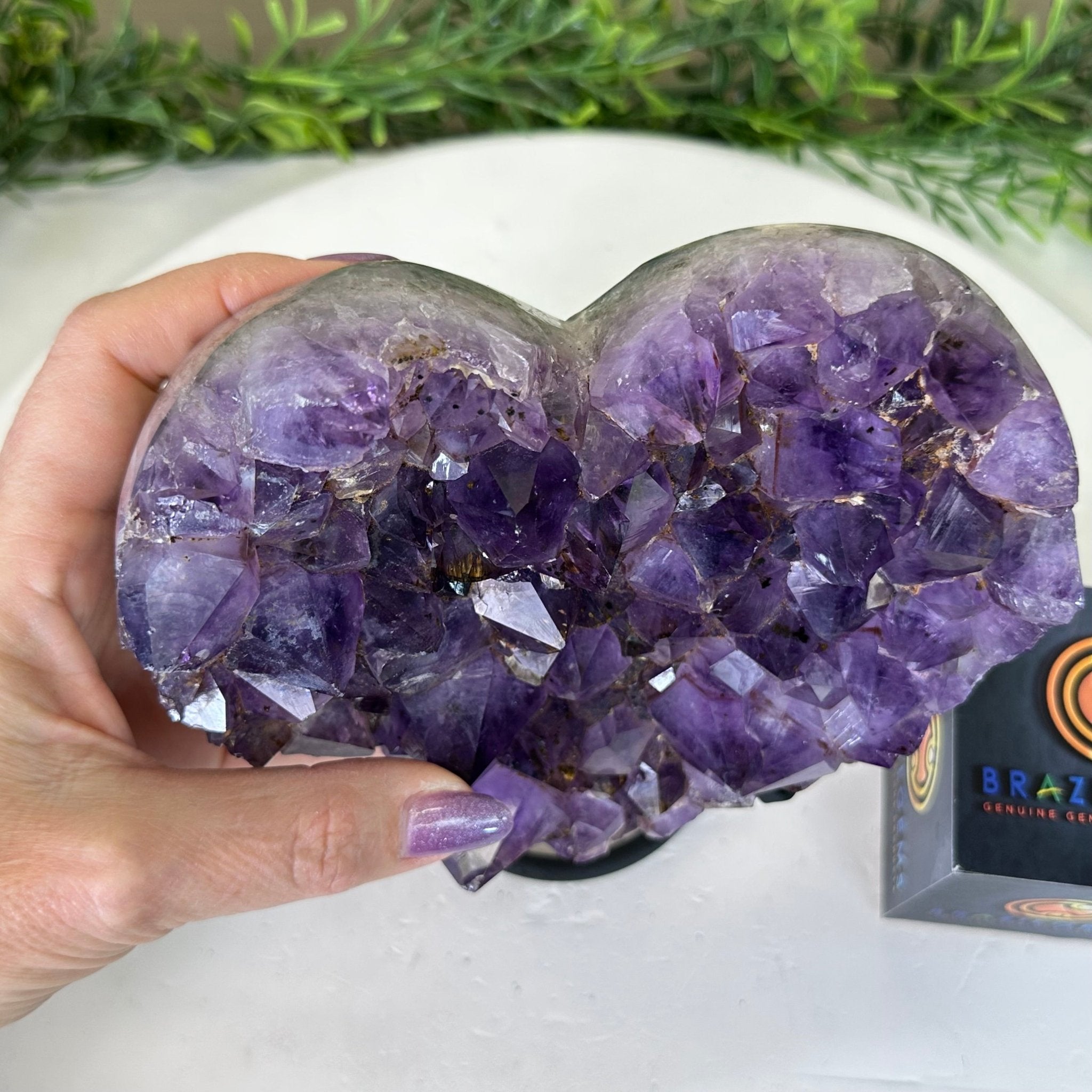 Amethyst Heart Geode on a Metal Stand, 4 lbs & 7" Tall #5463 - 0322 - Brazil GemsBrazil GemsAmethyst Heart Geode on a Metal Stand, 4 lbs & 7" Tall #5463 - 0322Hearts5463 - 0322