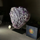 Amethyst Heart Geode on a Metal Stand, 4.1 lbs & 6.9" Tall #5463 - 0323 - Brazil GemsBrazil GemsAmethyst Heart Geode on a Metal Stand, 4.1 lbs & 6.9" Tall #5463 - 0323Hearts5463 - 0323