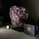 Amethyst Heart Geode on a Metal Stand, 4.3 lbs & 7.1" Tall #5463 - 0324 - Brazil GemsBrazil GemsAmethyst Heart Geode on a Metal Stand, 4.3 lbs & 7.1" Tall #5463 - 0324Hearts5463 - 0324