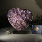 Amethyst Heart Geode on a Metal Stand, 4.3 lbs & 7.1" Tall #5463 - 0324 - Brazil GemsBrazil GemsAmethyst Heart Geode on a Metal Stand, 4.3 lbs & 7.1" Tall #5463 - 0324Hearts5463 - 0324