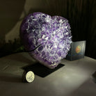 Amethyst Heart Geode on a Metal Stand, 5.1 lbs & 6.1" Tall #5463 - 0326 - Brazil GemsBrazil GemsAmethyst Heart Geode on a Metal Stand, 5.1 lbs & 6.1" Tall #5463 - 0326Hearts5463 - 0326