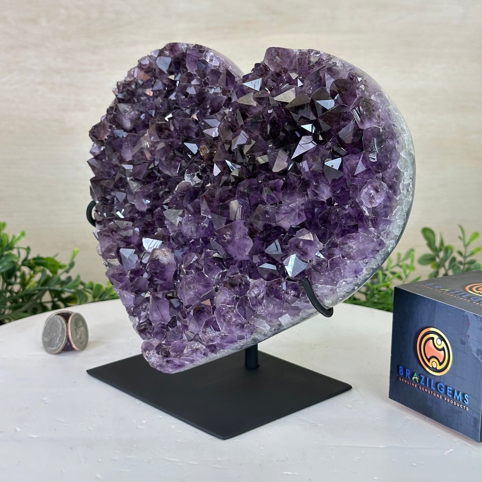 Amethyst Heart Geode on a Metal Stand, 5.9 lbs & 7.7" Tall #5463 - 0329 - Brazil GemsBrazil GemsAmethyst Heart Geode on a Metal Stand, 5.9 lbs & 7.7" Tall #5463 - 0329Hearts5463 - 0329