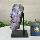 Amethyst Heart Geode on a Metal Stand, 6.5 lbs & 7.3" Tall #5463 - 0330 - Brazil GemsBrazil GemsAmethyst Heart Geode on a Metal Stand, 6.5 lbs & 7.3" Tall #5463 - 0330Hearts5463 - 0330