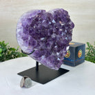 Amethyst Heart Geode on a Metal Stand, 6.5 lbs & 7.3" Tall #5463 - 0330 - Brazil GemsBrazil GemsAmethyst Heart Geode on a Metal Stand, 6.5 lbs & 7.3" Tall #5463 - 0330Hearts5463 - 0330