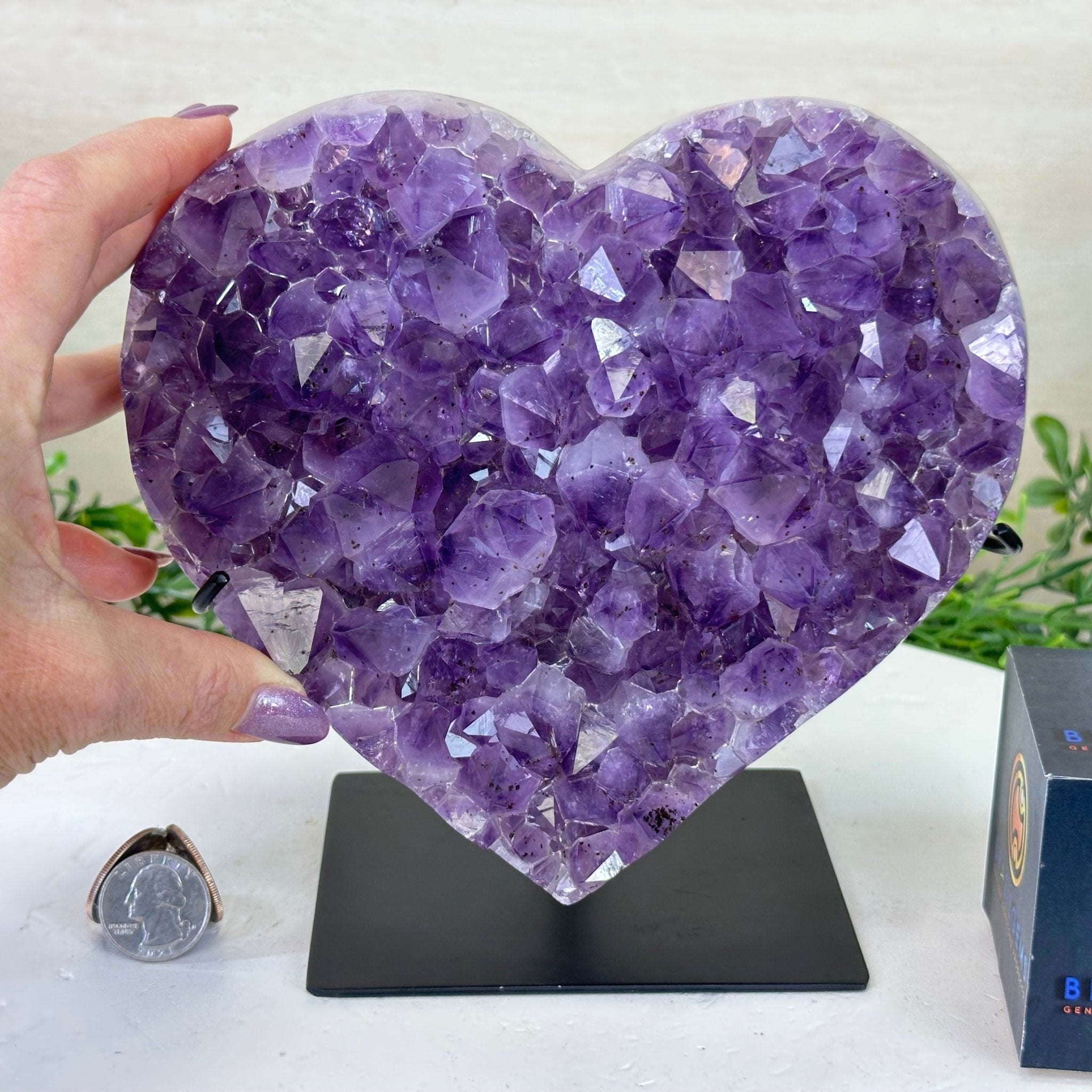 Amethyst Heart Geode on a Metal Stand, 6.5 lbs & 7.3" Tall #5463 - 0330 - Brazil GemsBrazil GemsAmethyst Heart Geode on a Metal Stand, 6.5 lbs & 7.3" Tall #5463 - 0330Hearts5463 - 0330