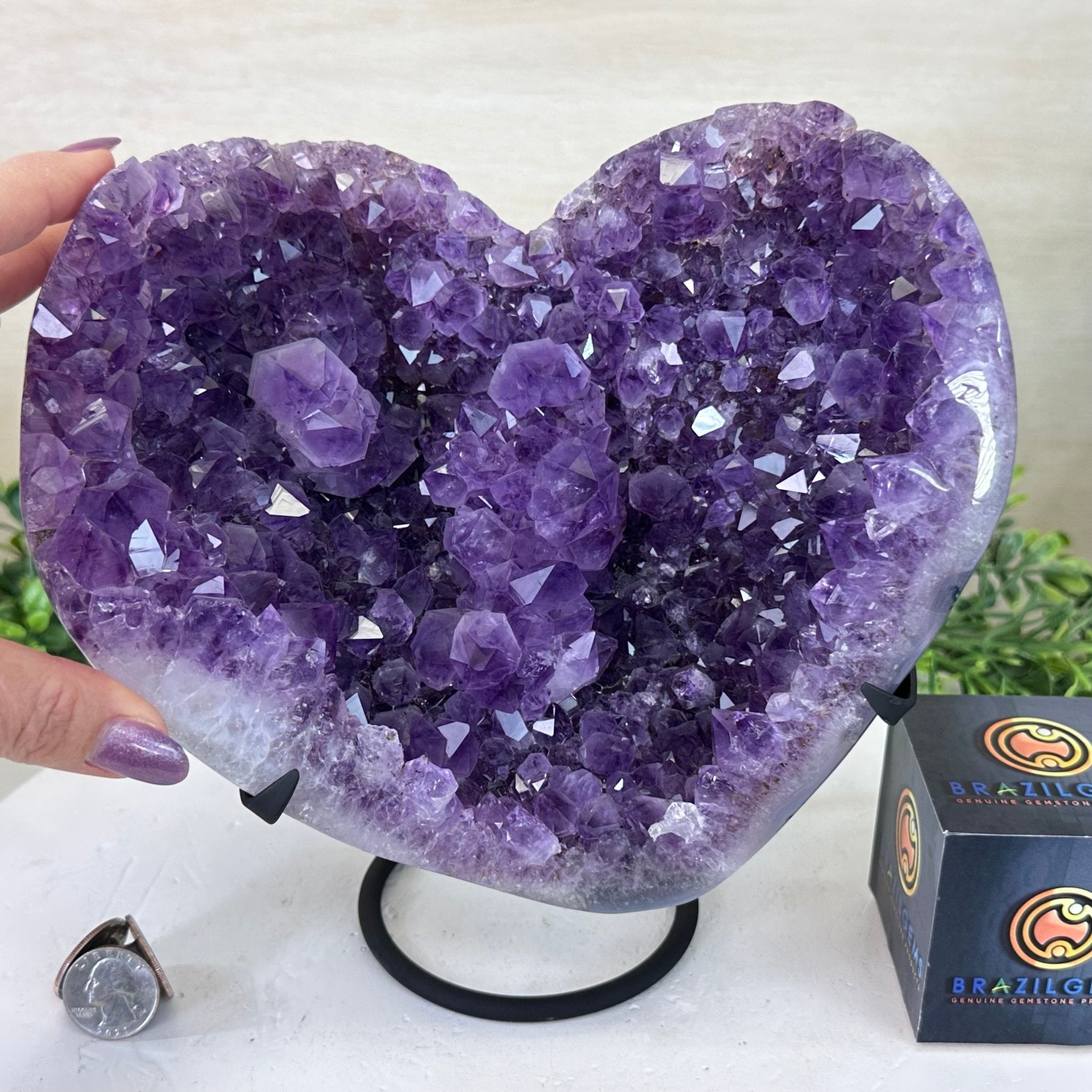 Amethyst Heart Geode on a Metal Stand, 6.9 lbs & 8.8" Tall #5463 - 0349 - Brazil GemsBrazil GemsAmethyst Heart Geode on a Metal Stand, 6.9 lbs & 8.8" Tall #5463 - 0349Hearts5463 - 0349