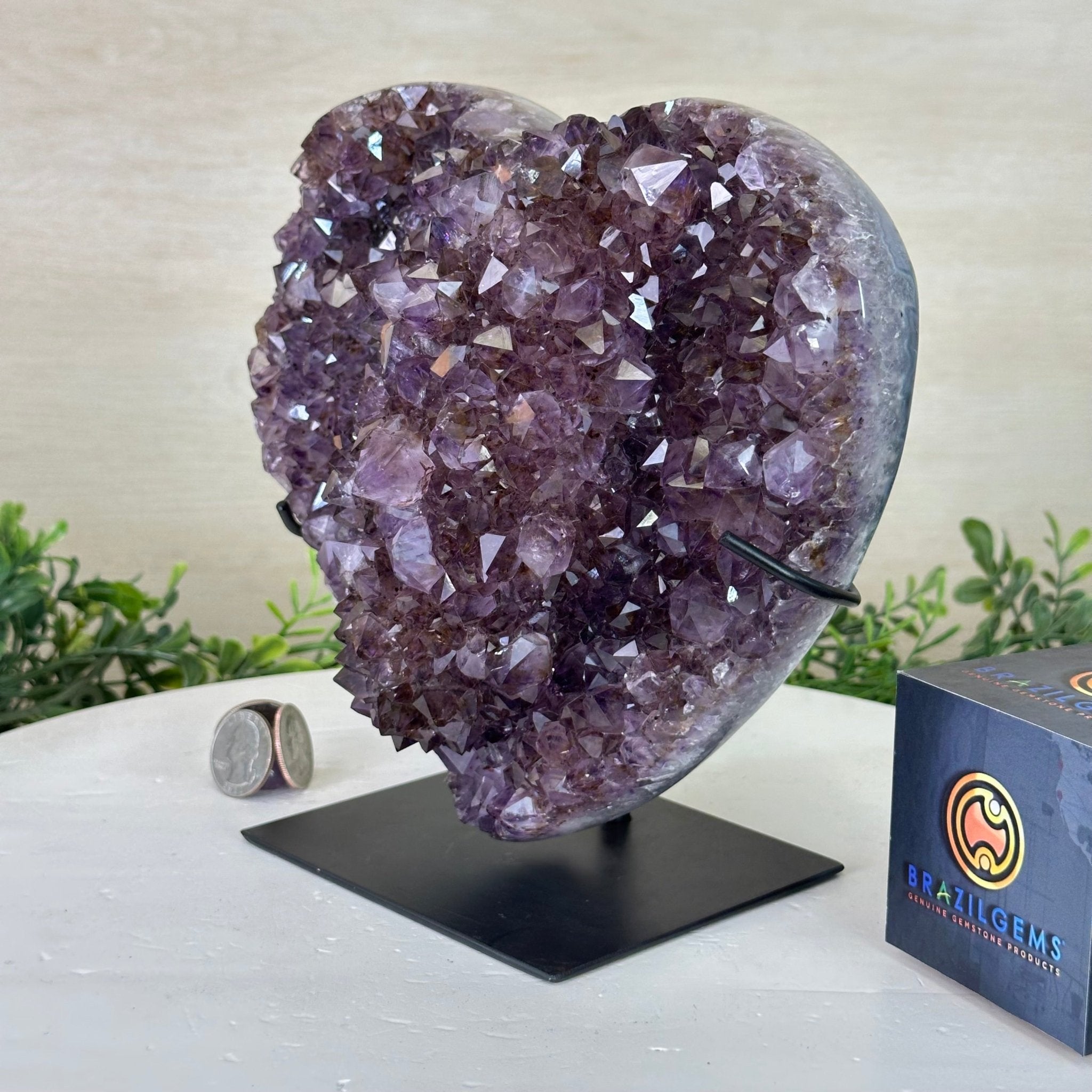 Amethyst Heart Geode on a Metal Stand, 7.5 lbs & 7.6" Tall #5463 - 0331 - Brazil GemsBrazil GemsAmethyst Heart Geode on a Metal Stand, 7.5 lbs & 7.6" Tall #5463 - 0331Hearts5463 - 0331