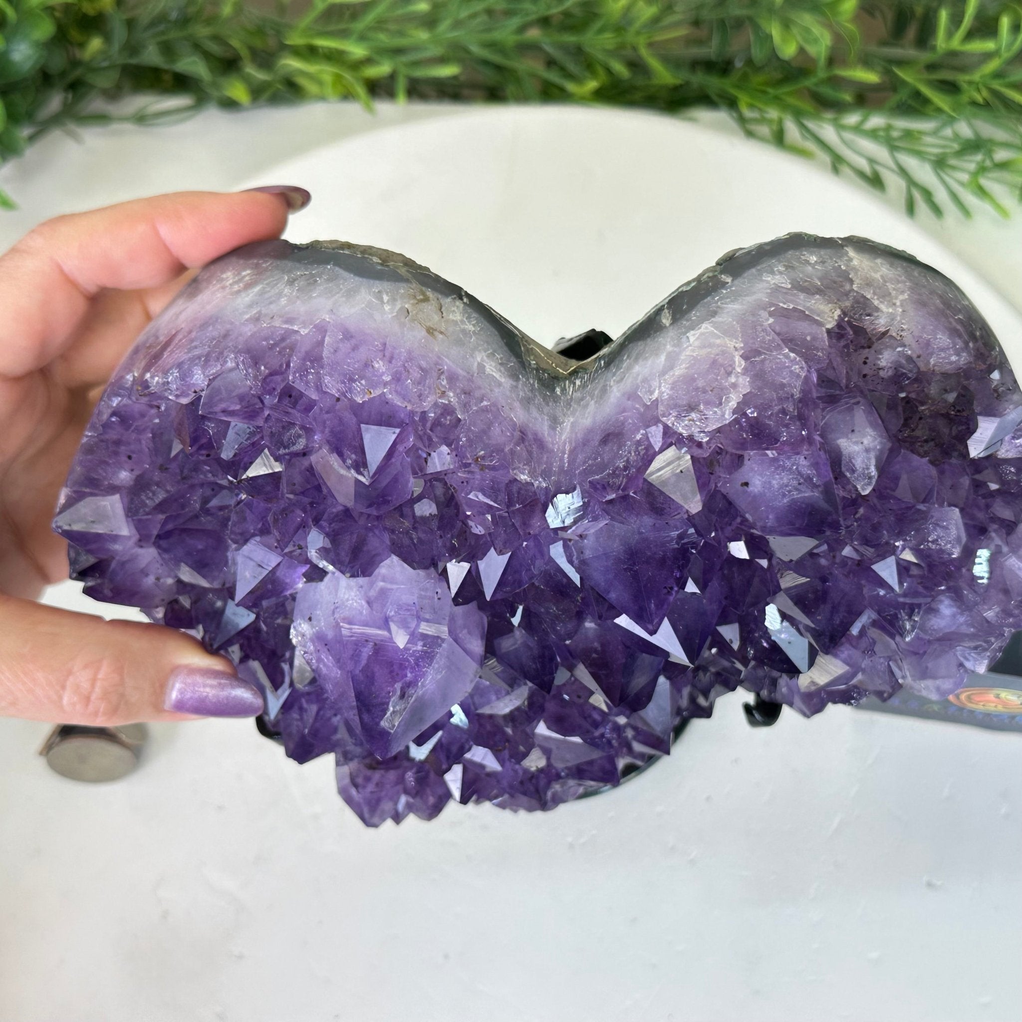 Amethyst Heart Geode on a Metal Stand, 7.8 lbs & 7.9" Tall #5463 - 0350 - Brazil GemsBrazil GemsAmethyst Heart Geode on a Metal Stand, 7.8 lbs & 7.9" Tall #5463 - 0350Hearts5463 - 0350