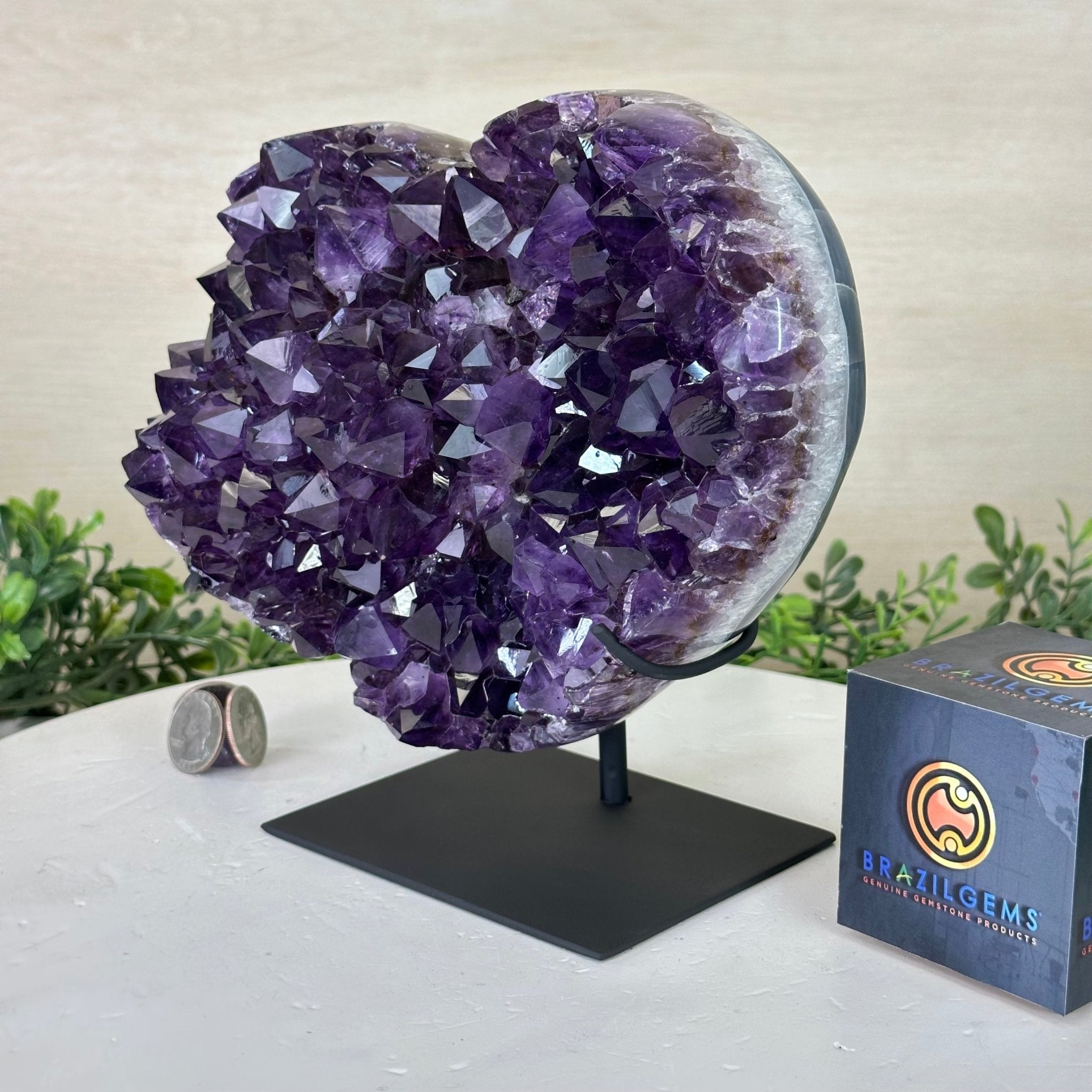 Amethyst Heart Geode on a Metal Stand, 8.6 lbs & 8" Tall #5463 - 0351 - Brazil GemsBrazil GemsAmethyst Heart Geode on a Metal Stand, 8.6 lbs & 8" Tall #5463 - 0351Hearts5463 - 0351