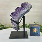 Amethyst Heart Geode on a Metal Stand, 9.9 lbs & 8.9" Tall #5463 - 0353 - Brazil GemsBrazil GemsAmethyst Heart Geode on a Metal Stand, 9.9 lbs & 8.9" Tall #5463 - 0353Hearts5463 - 0353