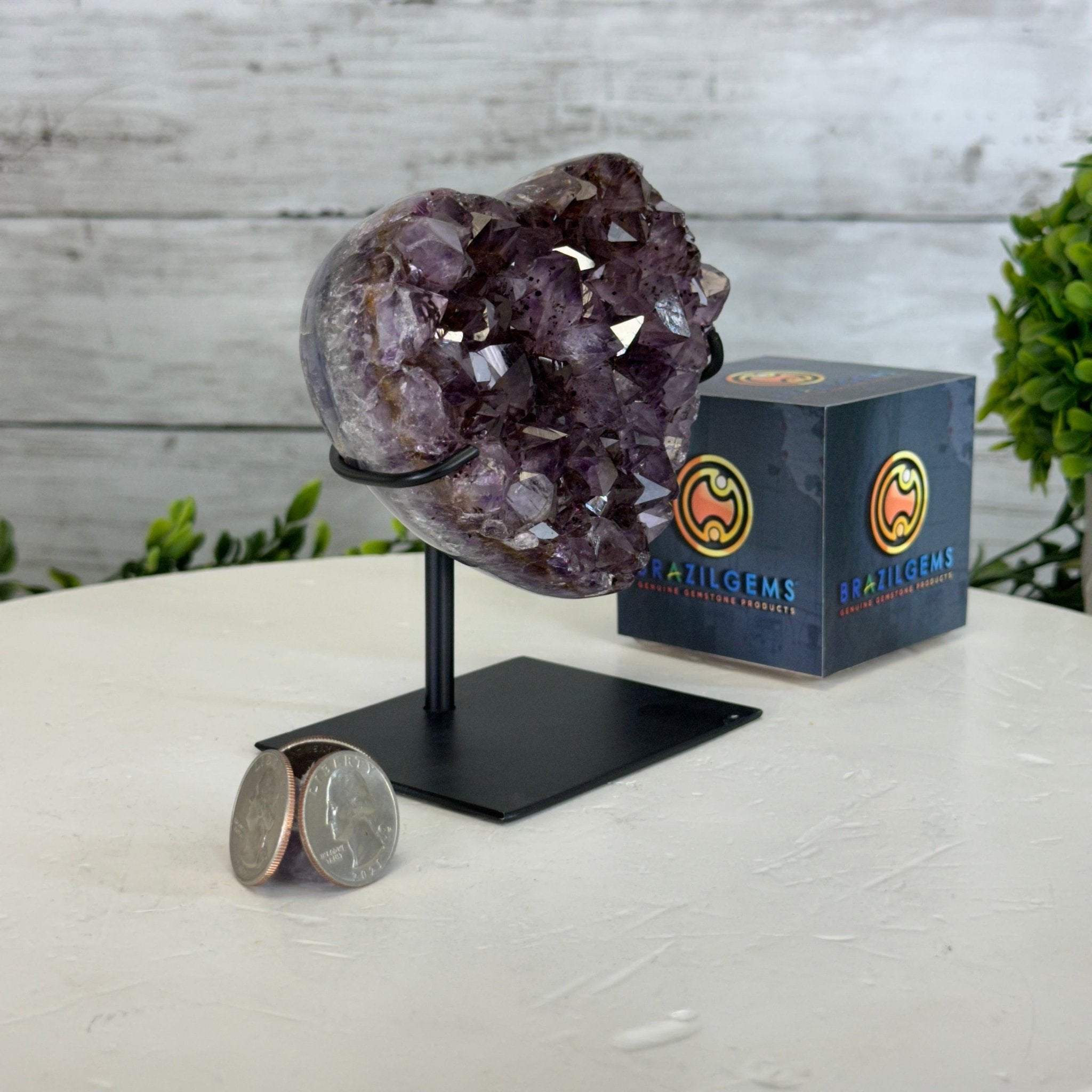 Amethyst Heart Geode w/ metal stand, 1.6 lbs & 5" Tall #5463-0307 - Brazil GemsBrazil GemsAmethyst Heart Geode w/ metal stand, 1.6 lbs & 5" Tall #5463-0307Hearts5463-0307