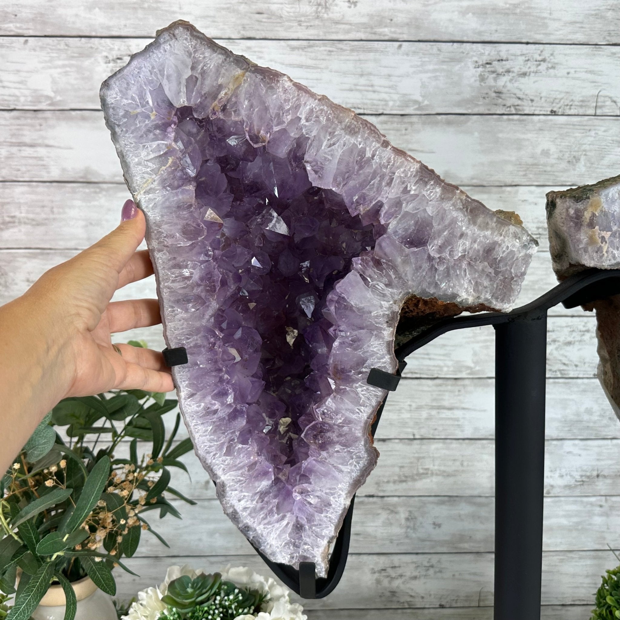 Amethyst Wings on a Metal Stand, 65.6 lbs & 25.6" Tall #5493 - 0049 - Brazil GemsBrazil GemsAmethyst Wings on a Metal Stand, 65.6 lbs & 25.6" Tall #5493 - 0049Amethyst Butterfly Wings5493 - 0049