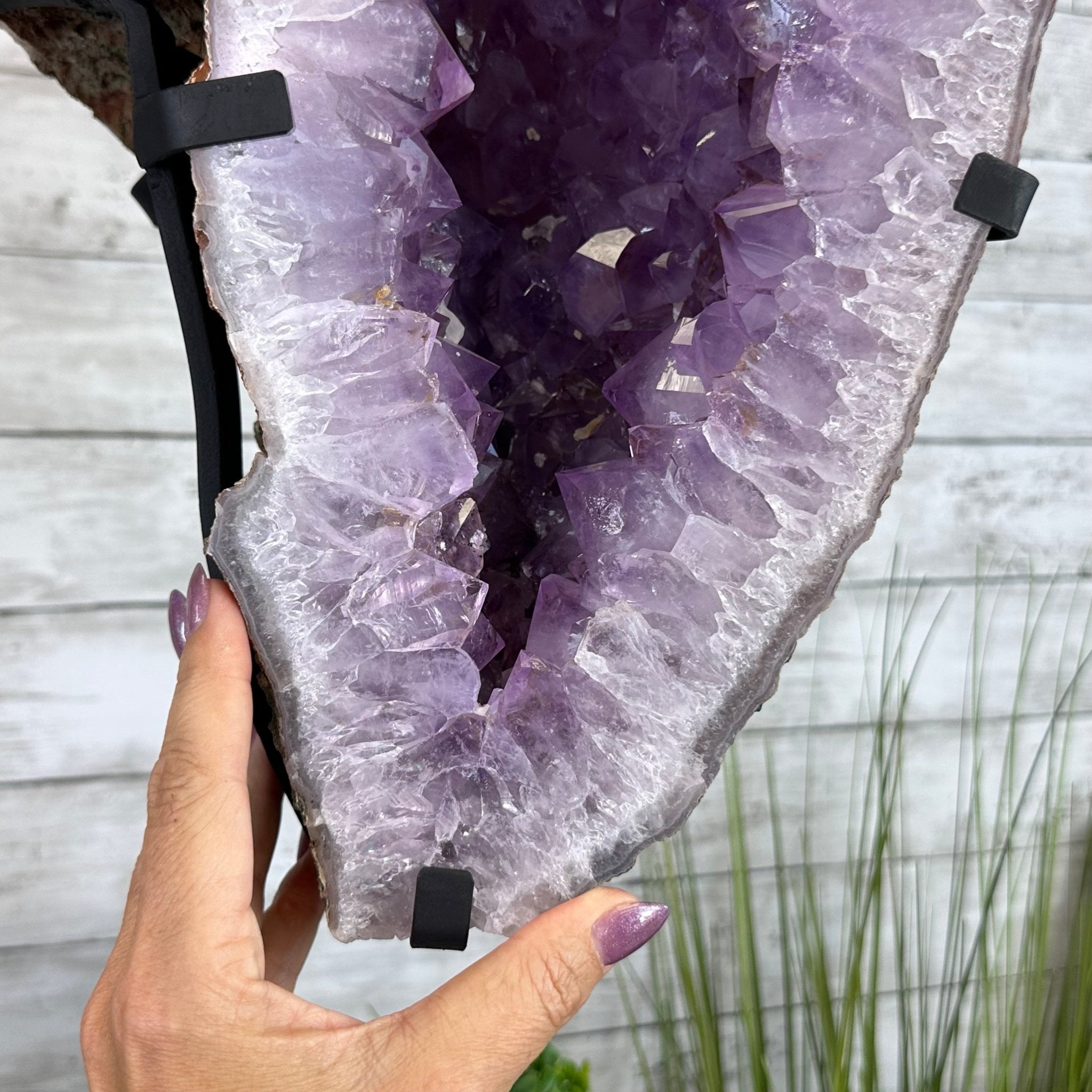 Amethyst Wings on a Metal Stand, 65.6 lbs & 25.6" Tall #5493 - 0049 - Brazil GemsBrazil GemsAmethyst Wings on a Metal Stand, 65.6 lbs & 25.6" Tall #5493 - 0049Amethyst Butterfly Wings5493 - 0049