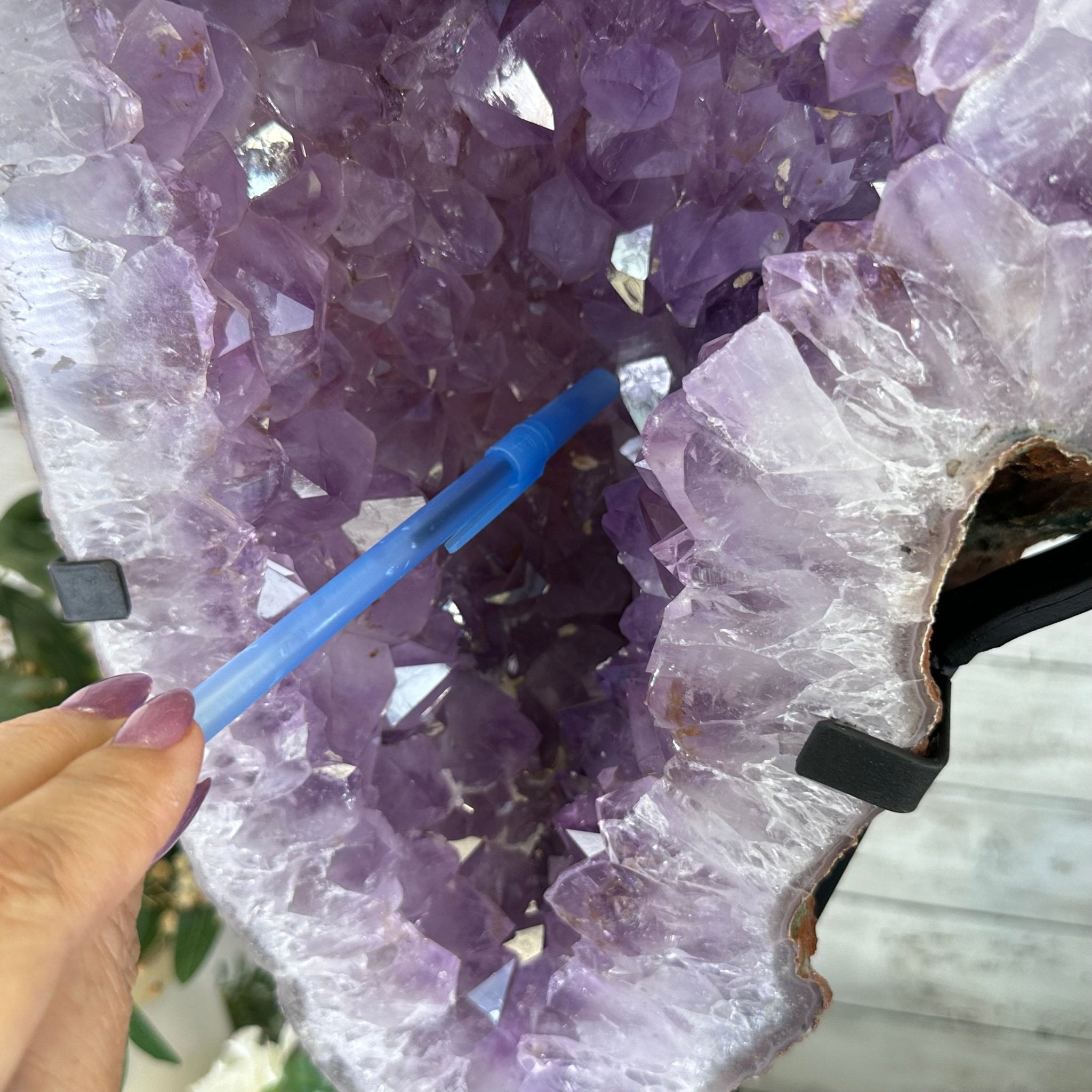 Amethyst Wings on a Metal Stand, 65.6 lbs & 25.6" Tall #5493 - 0049 - Brazil GemsBrazil GemsAmethyst Wings on a Metal Stand, 65.6 lbs & 25.6" Tall #5493 - 0049Amethyst Butterfly Wings5493 - 0049