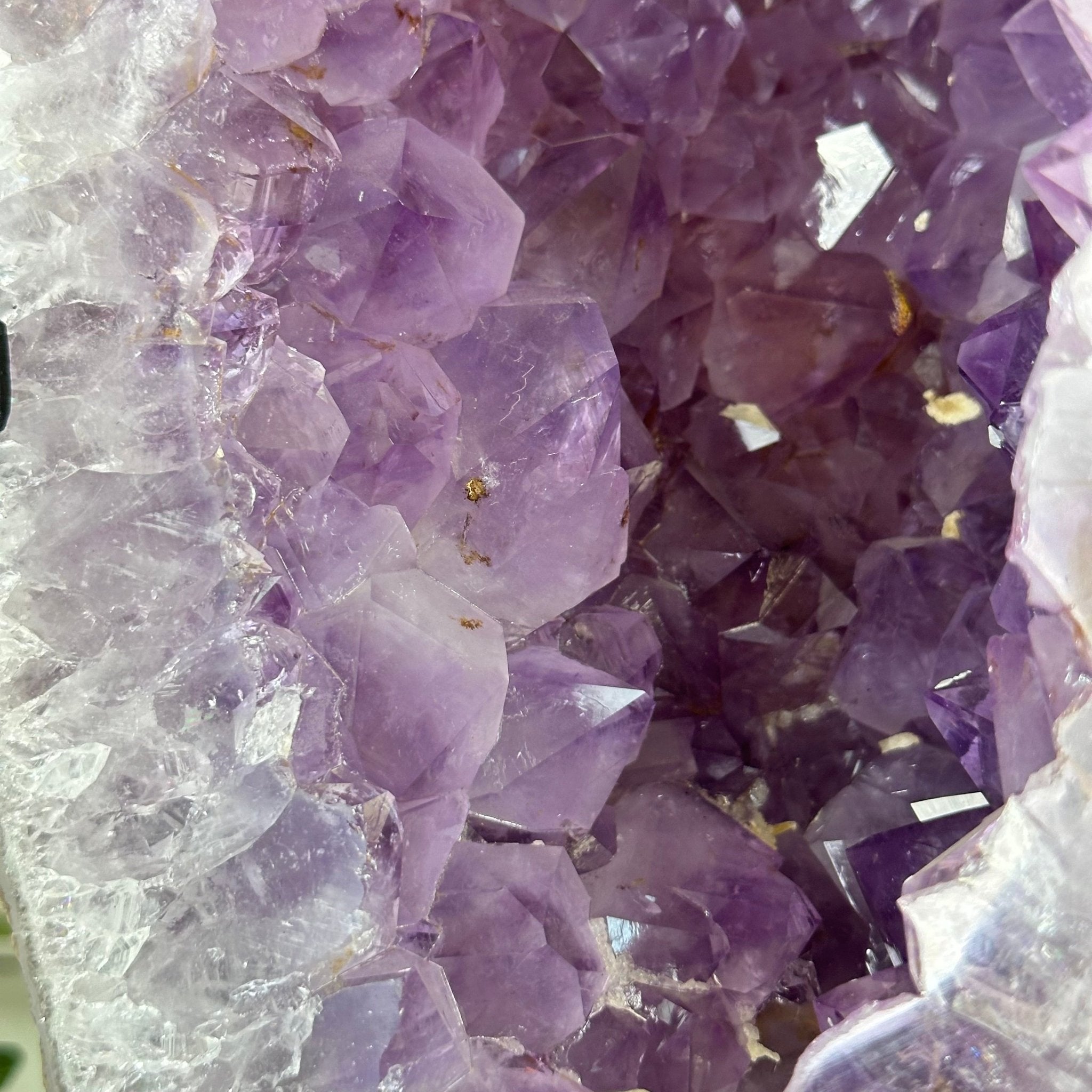 Amethyst Wings on a Metal Stand, 65.6 lbs & 25.6" Tall #5493 - 0049 - Brazil GemsBrazil GemsAmethyst Wings on a Metal Stand, 65.6 lbs & 25.6" Tall #5493 - 0049Amethyst Butterfly Wings5493 - 0049