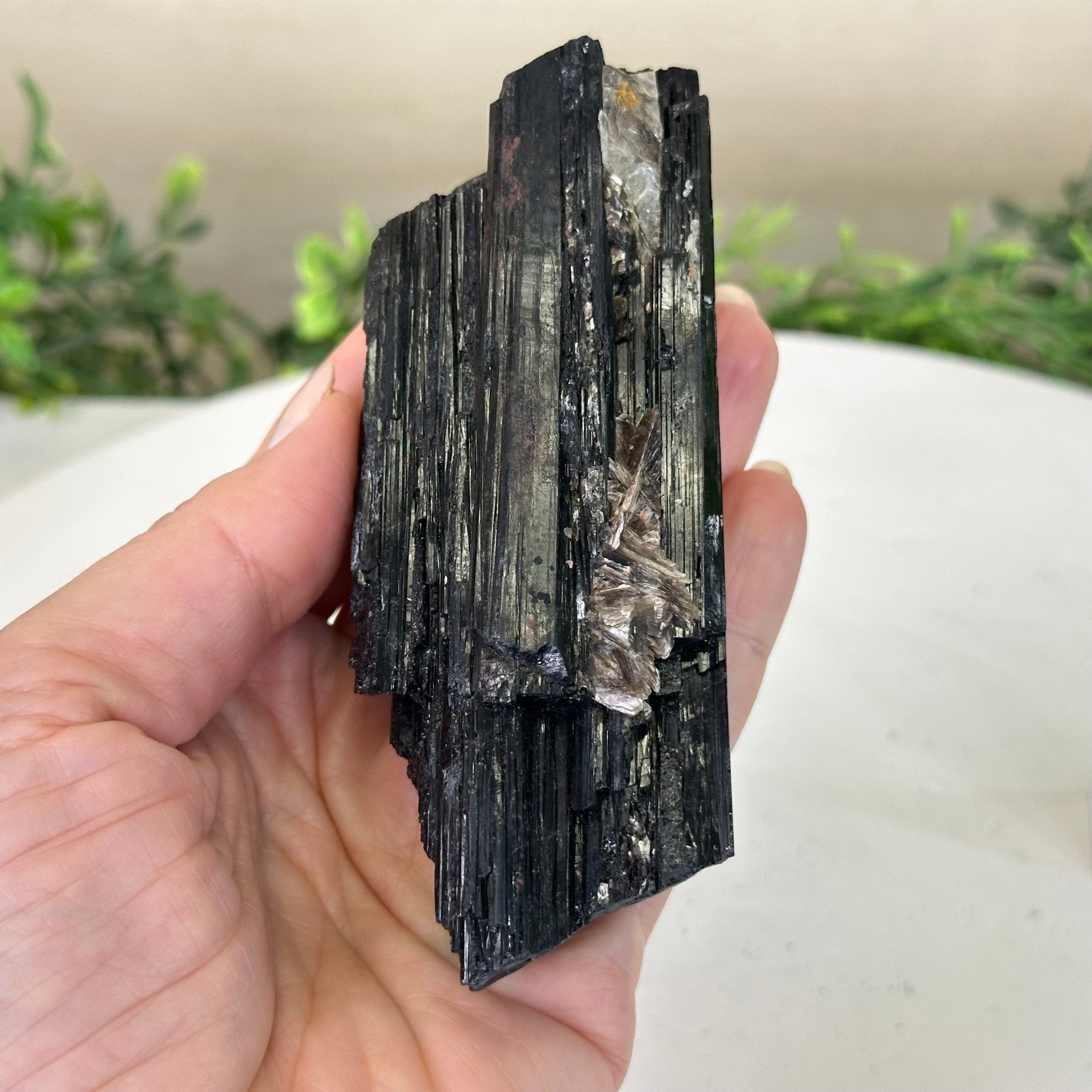 Black Tourmaline Cluster, 0.7 lbs and 4.9" Long #3302BT - 013 - Brazil GemsBrazil GemsBlack Tourmaline Cluster, 0.7 lbs and 4.9" Long #3302BT - 013Small Clusters with Flat Bases3302BT - 013