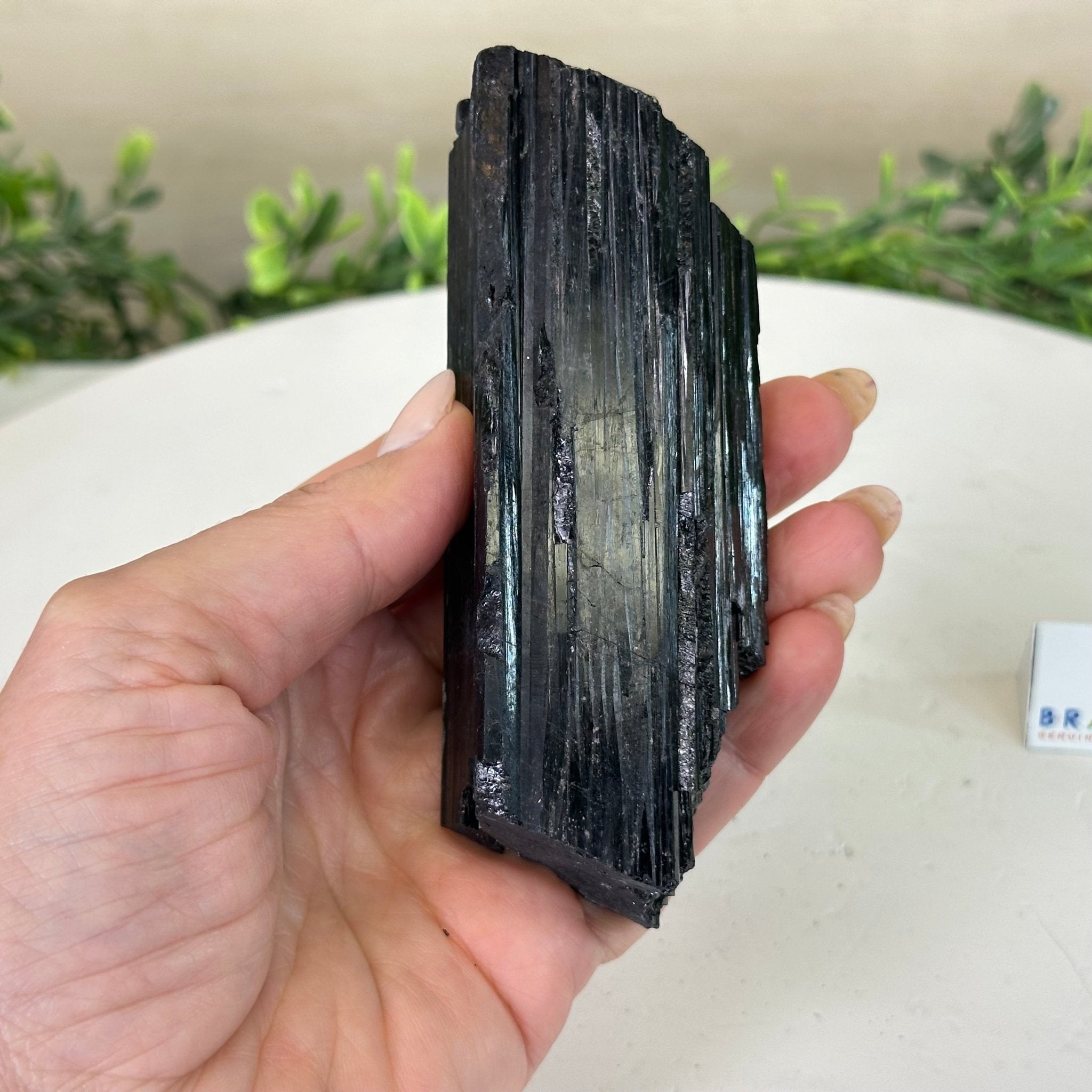 Black Tourmaline Cluster, 0.7 lbs and 4.9" Long #3302BT - 013 - Brazil GemsBrazil GemsBlack Tourmaline Cluster, 0.7 lbs and 4.9" Long #3302BT - 013Small Clusters with Flat Bases3302BT - 013