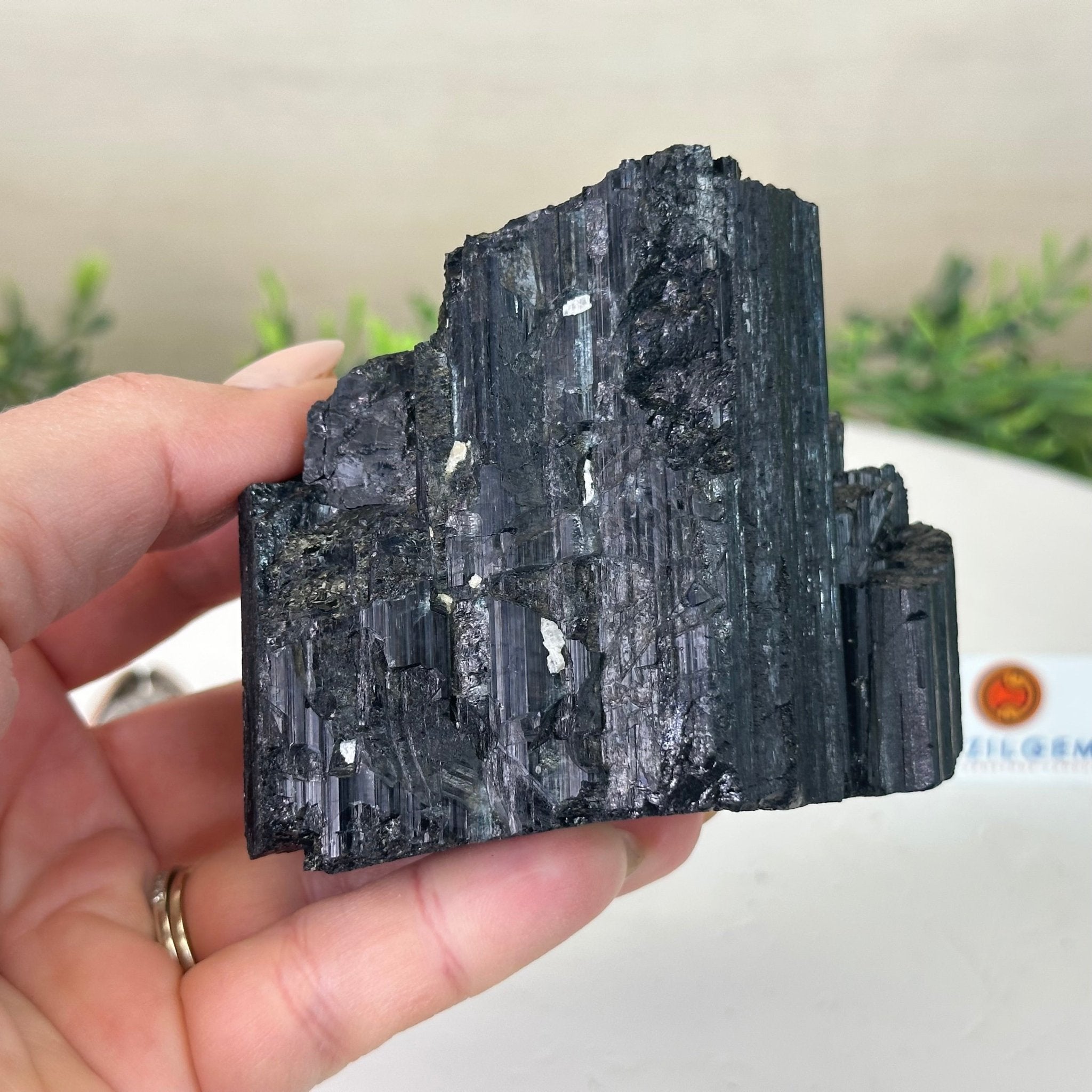 Black Tourmaline Cluster, 1.2 lbs and 3.2" Long #3302BT - 016 - Brazil GemsBrazil GemsBlack Tourmaline Cluster, 1.2 lbs and 3.2" Long #3302BT - 016Small Clusters with Flat Bases3302BT - 016