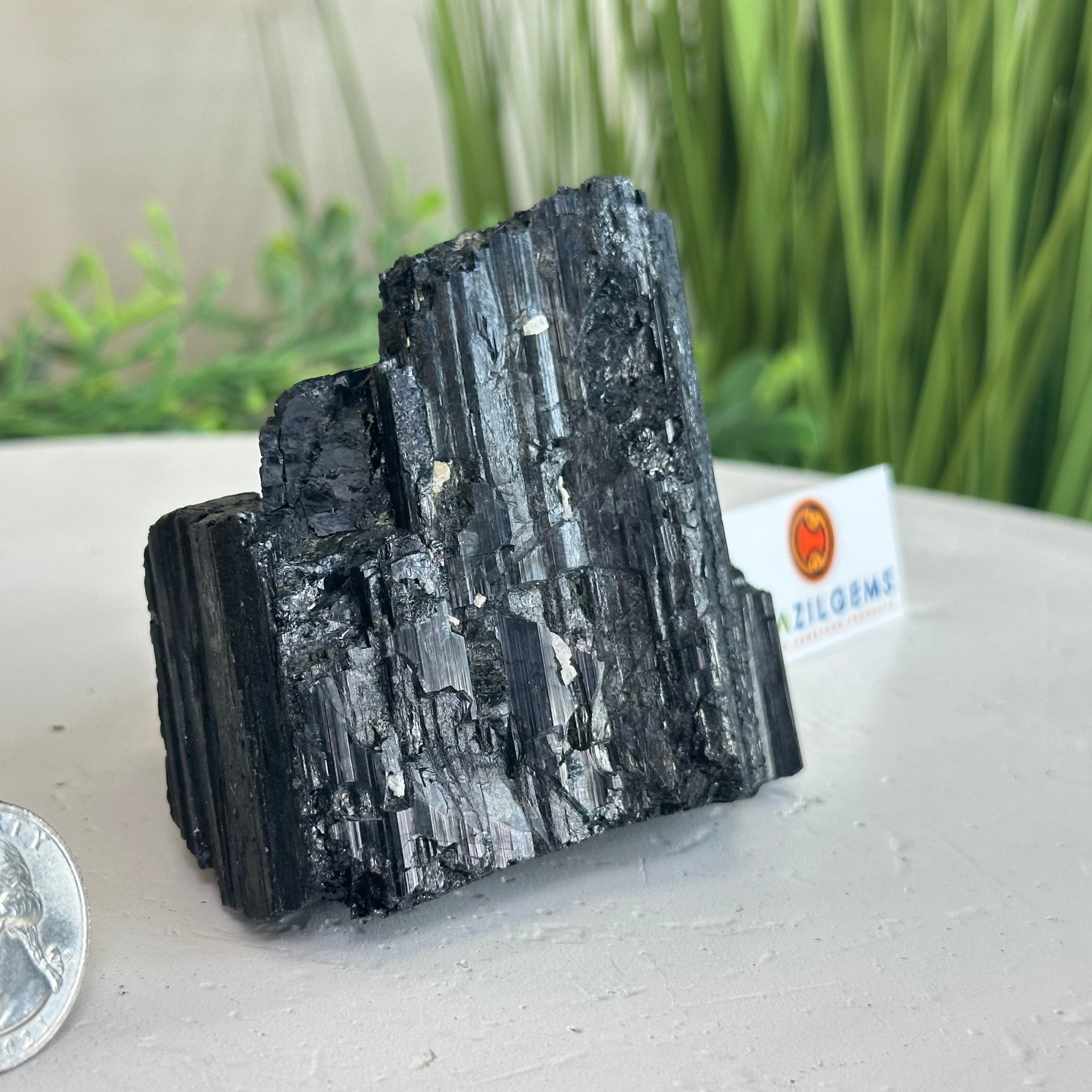 Black Tourmaline Cluster, 1.2 lbs and 3.2" Long #3302BT - 016 - Brazil GemsBrazil GemsBlack Tourmaline Cluster, 1.2 lbs and 3.2" Long #3302BT - 016Small Clusters with Flat Bases3302BT - 016