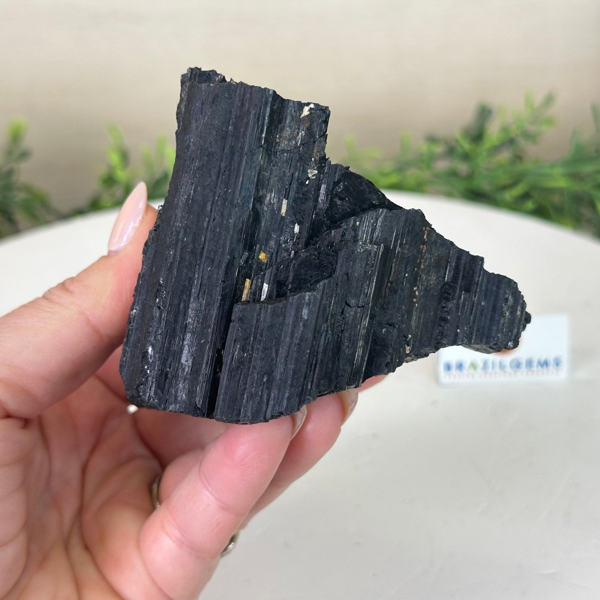 Black Tourmaline Cluster, 1.2 lbs and 3.2" Long #3302BT - 016 - Brazil GemsBrazil GemsBlack Tourmaline Cluster, 1.2 lbs and 3.2" Long #3302BT - 016Small Clusters with Flat Bases3302BT - 016